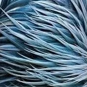images-17.jpg