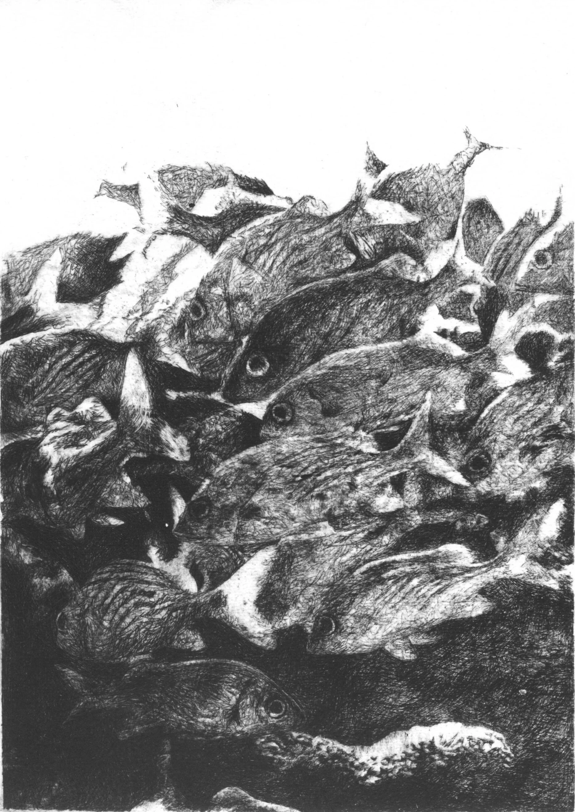 Fish School Etching | 10" x 12" | Glass Etching Print on Paper