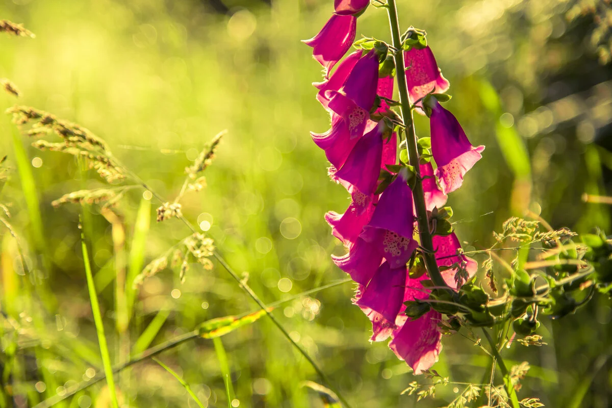 Gunkler Office Canvas Pics-4054.jpg