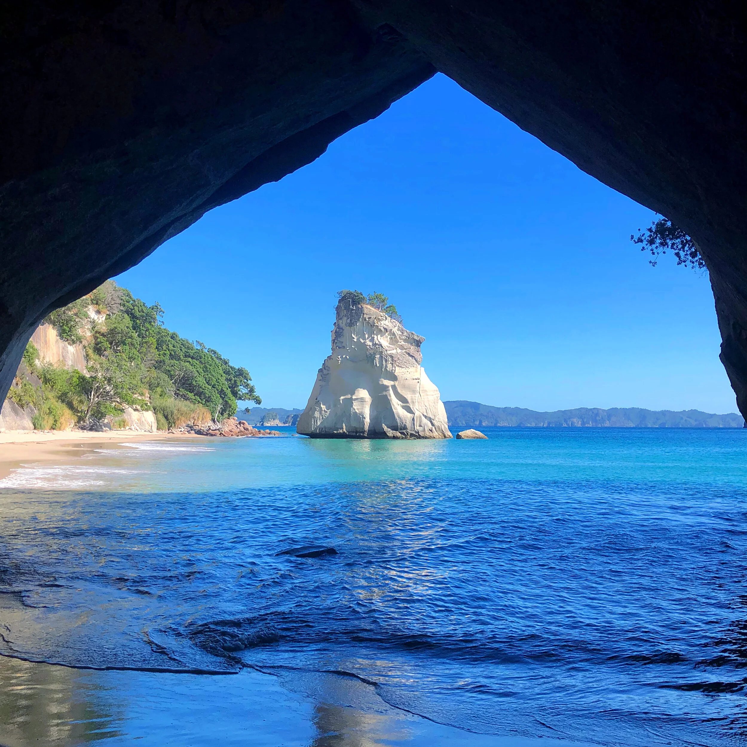A Bookish Whizz-stop Tour of the Coromandel 