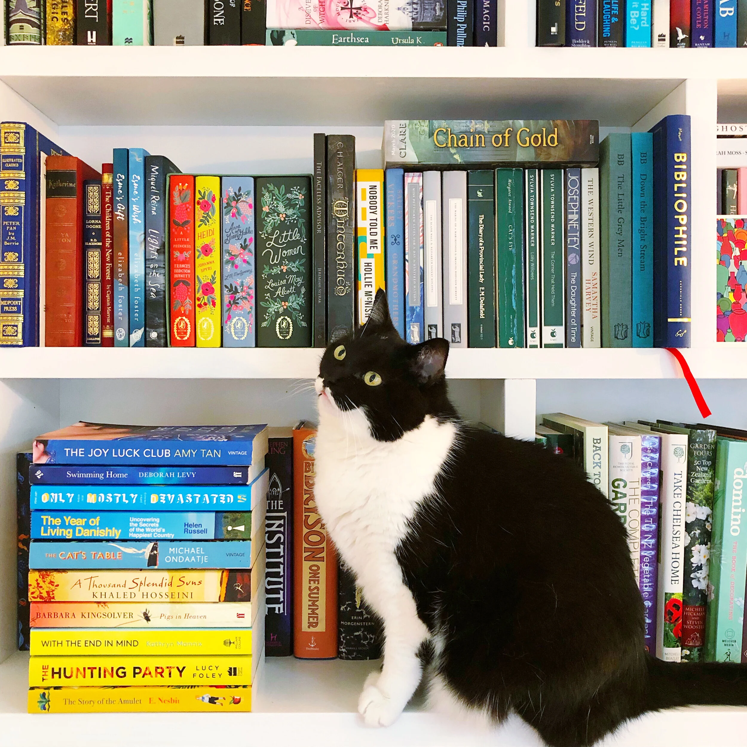 Six Favourite Summer Reads