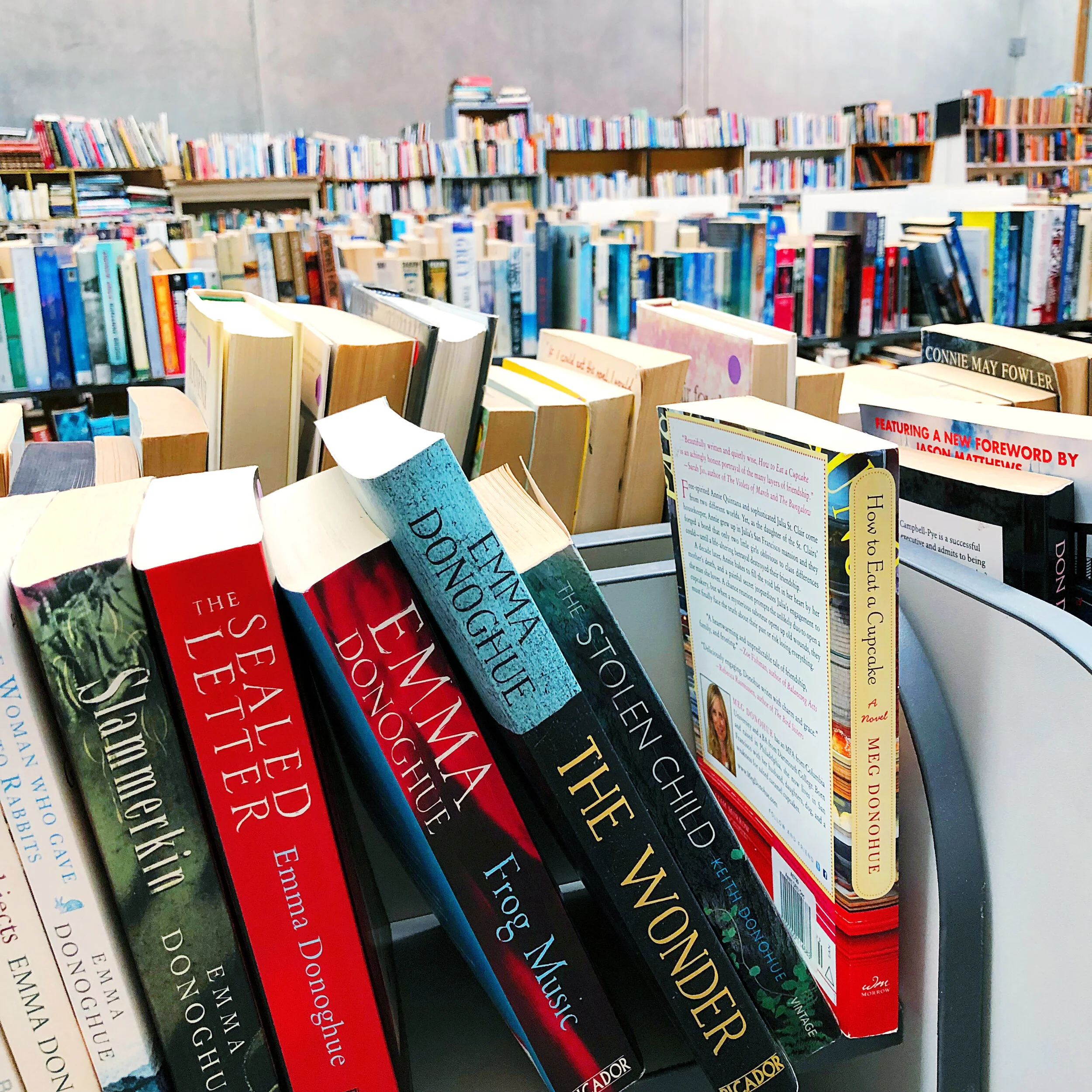Three Great New Zealand Book Barns