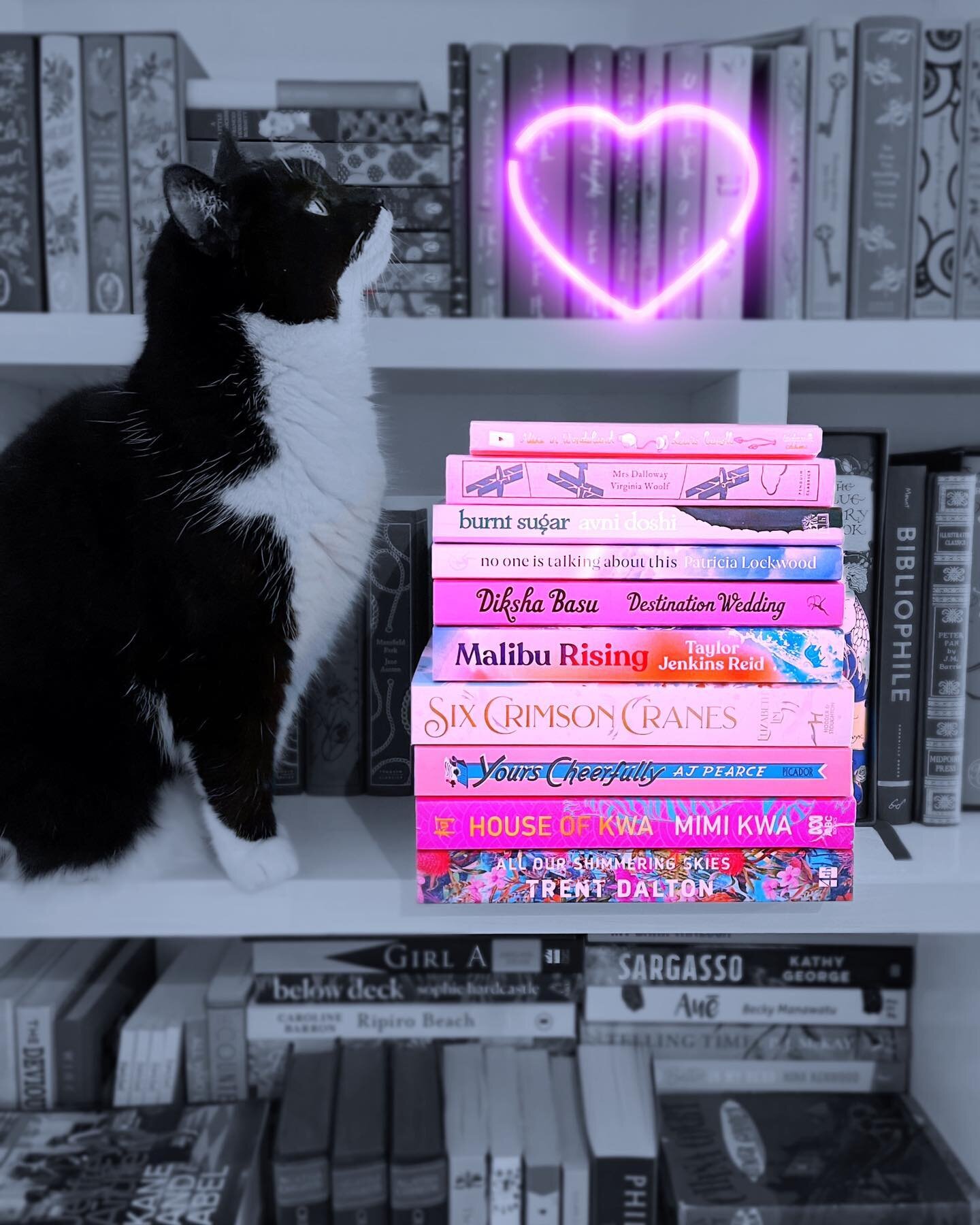 #PinkStackforAfghanWomen

Thank you @Kate.the.book.nerd for tagging me in this #stackforacause from @bibliolucinda

For every pink stack or pink #bookish post posted until September 1st using the hashtag above, Lucinda will donate $1 to @womenforafgh