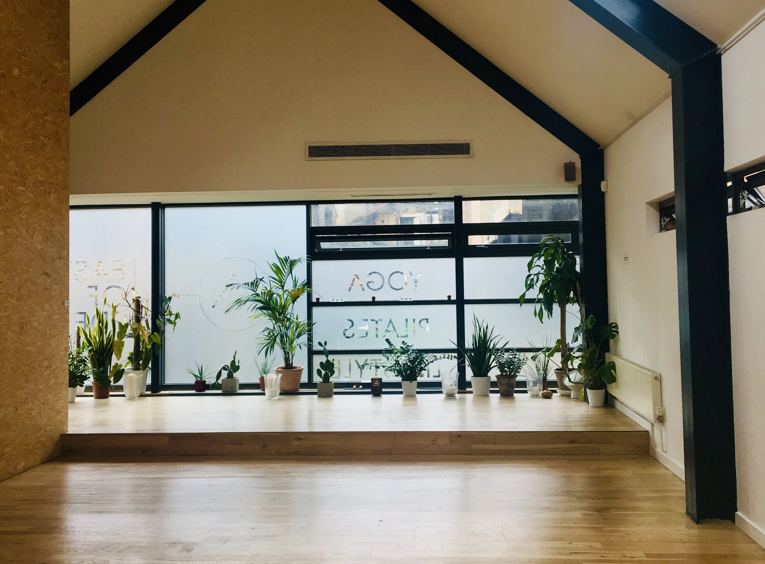 Iyengar Yoga Studio Class 