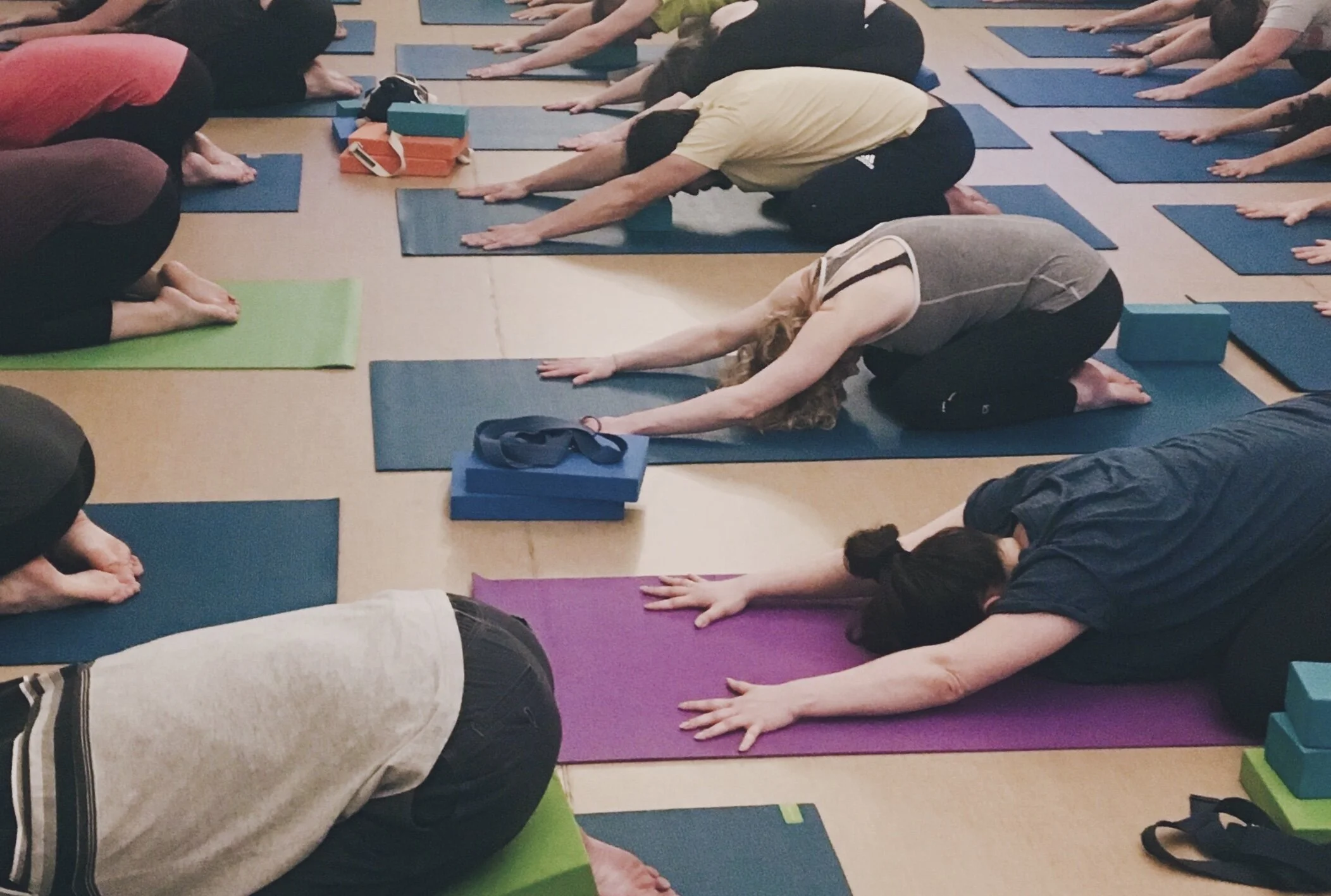 Iyengar Yoga on Zoom 
