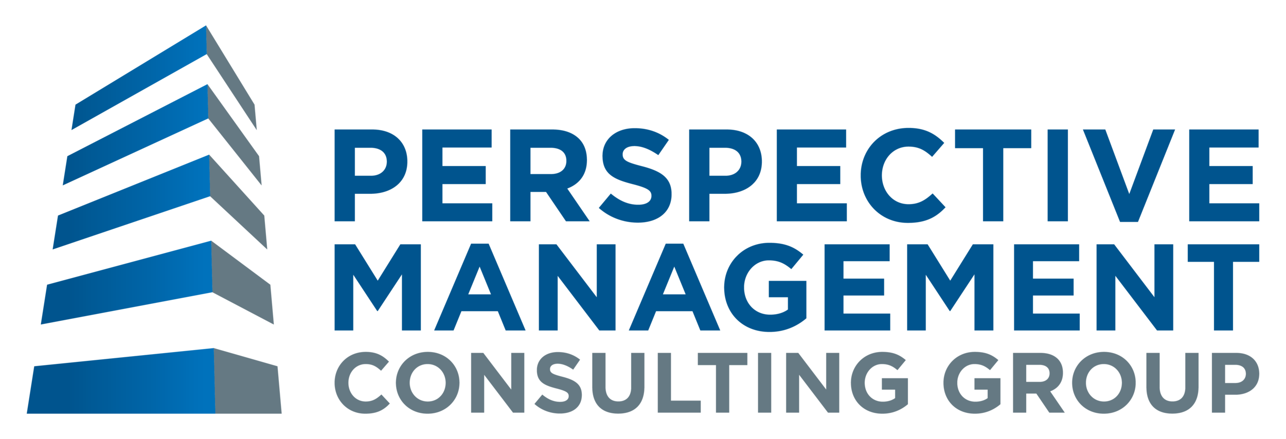Perspective Management Consulting Group