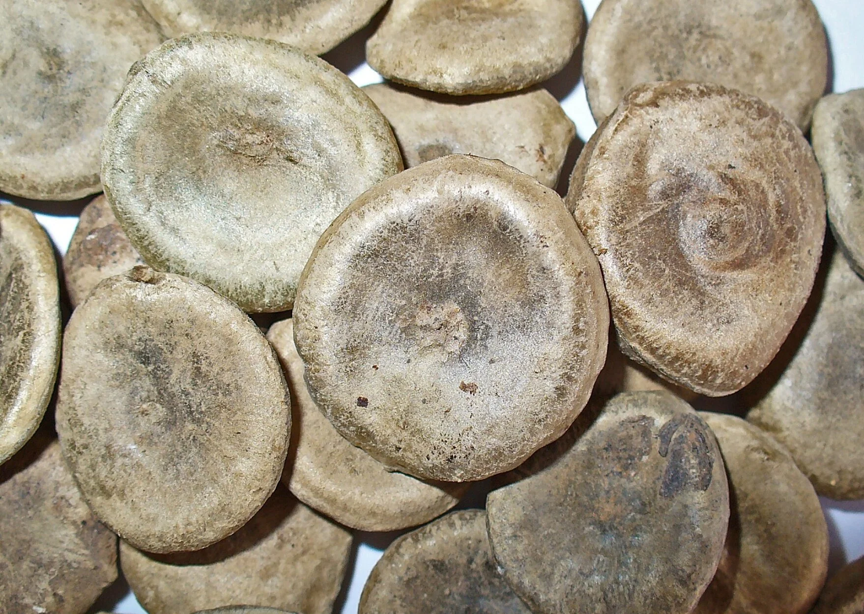 Episode 4 - The St Neots Poisoner Part 2 : A Bit of a Pickle