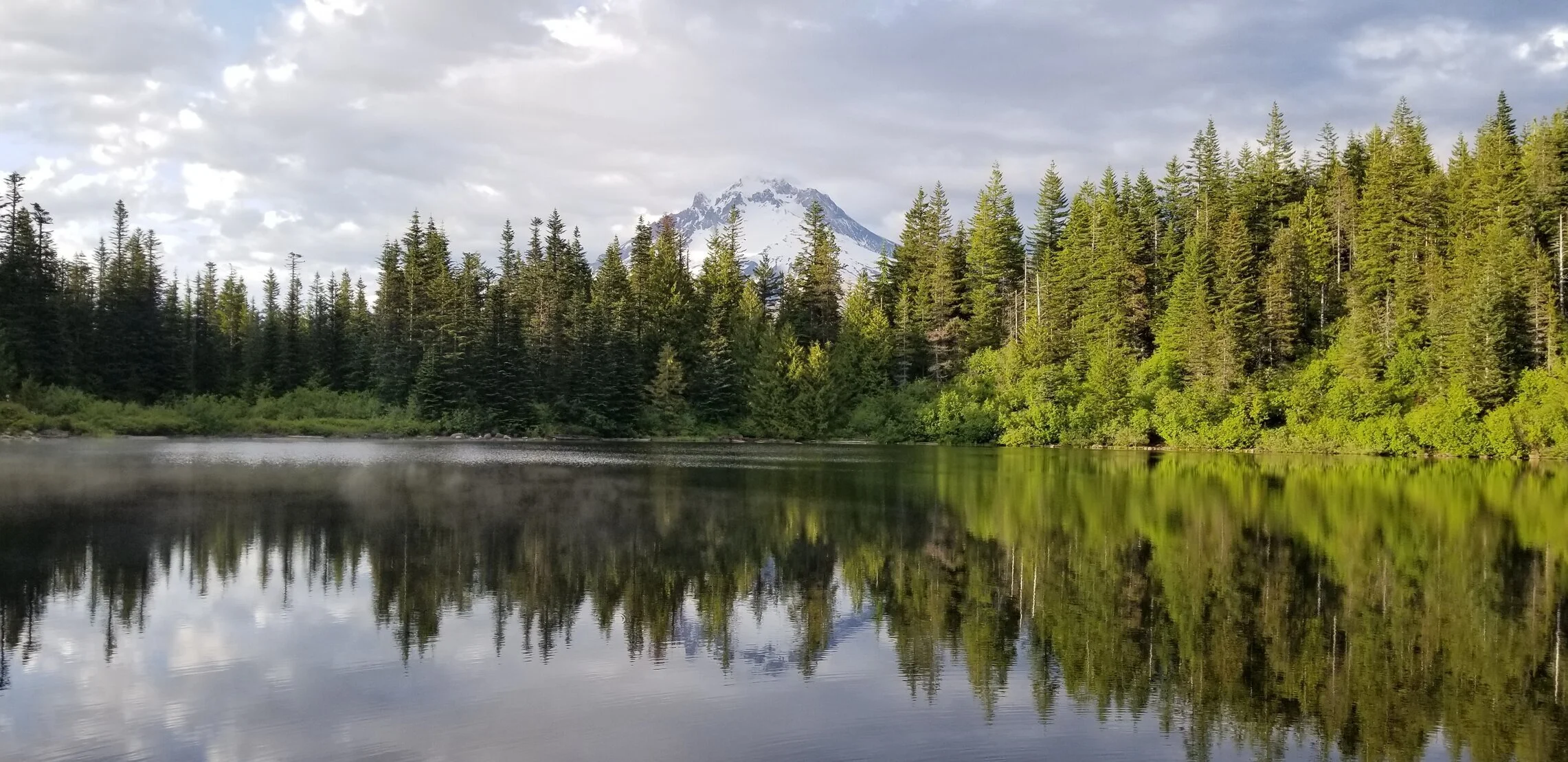 20190629_194209.jpg