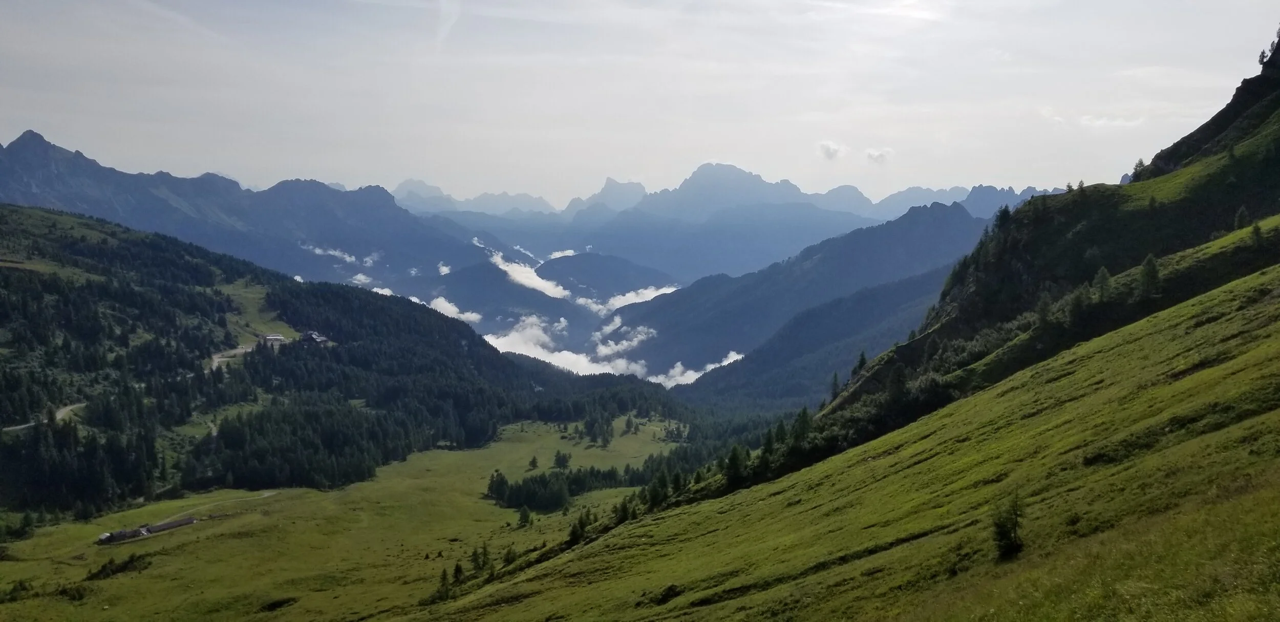 20190718_082940.jpg