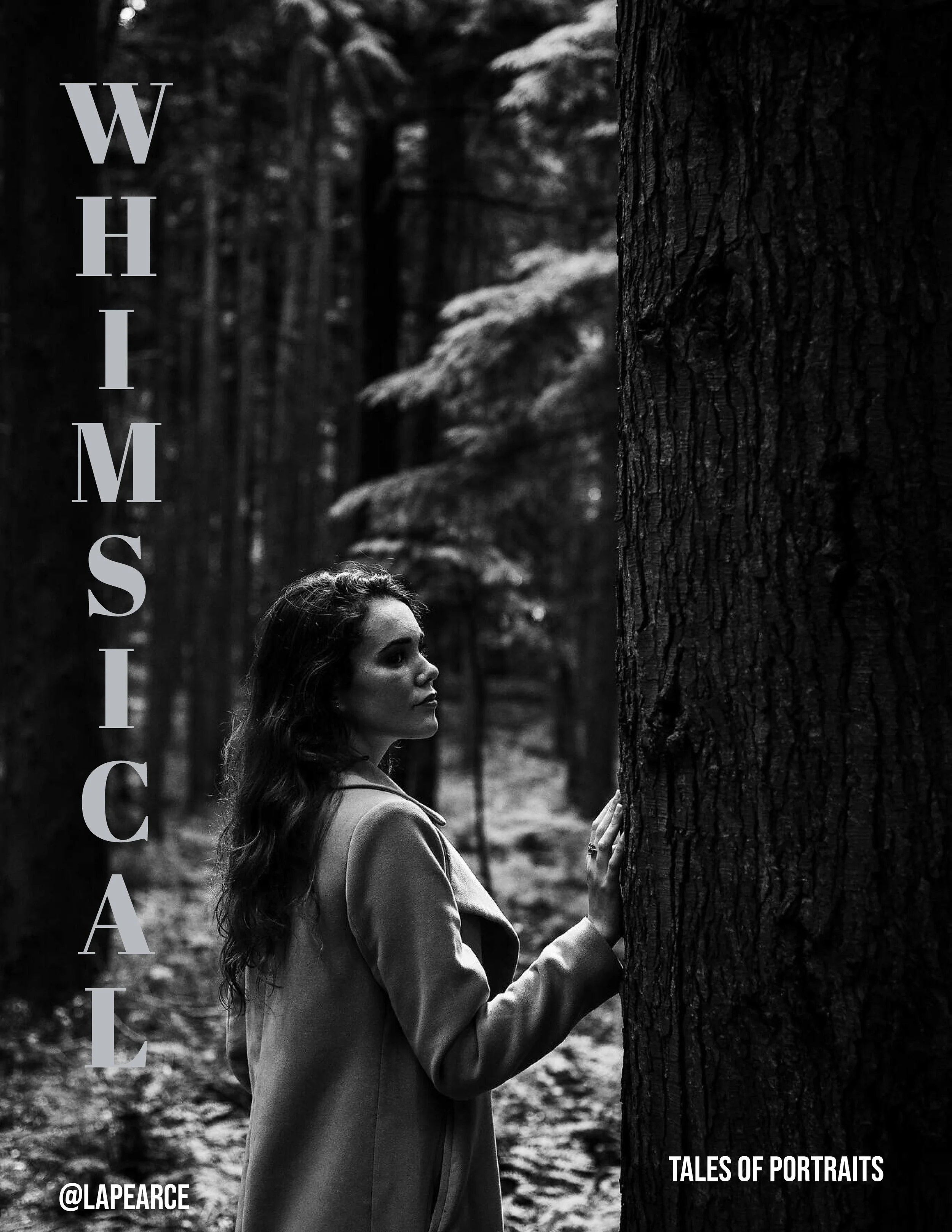 Whimsical back cover.jpg