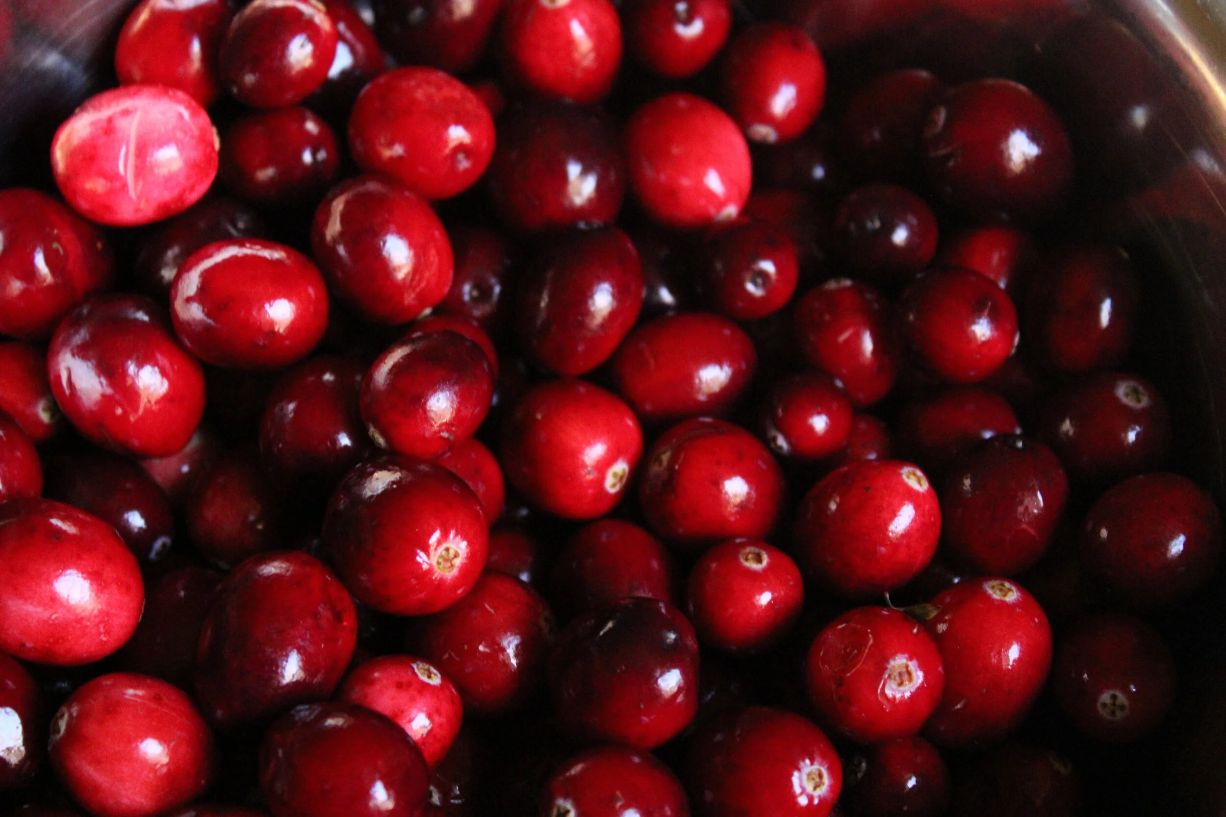 Chapter 4. Scratch Cranberry Sauce