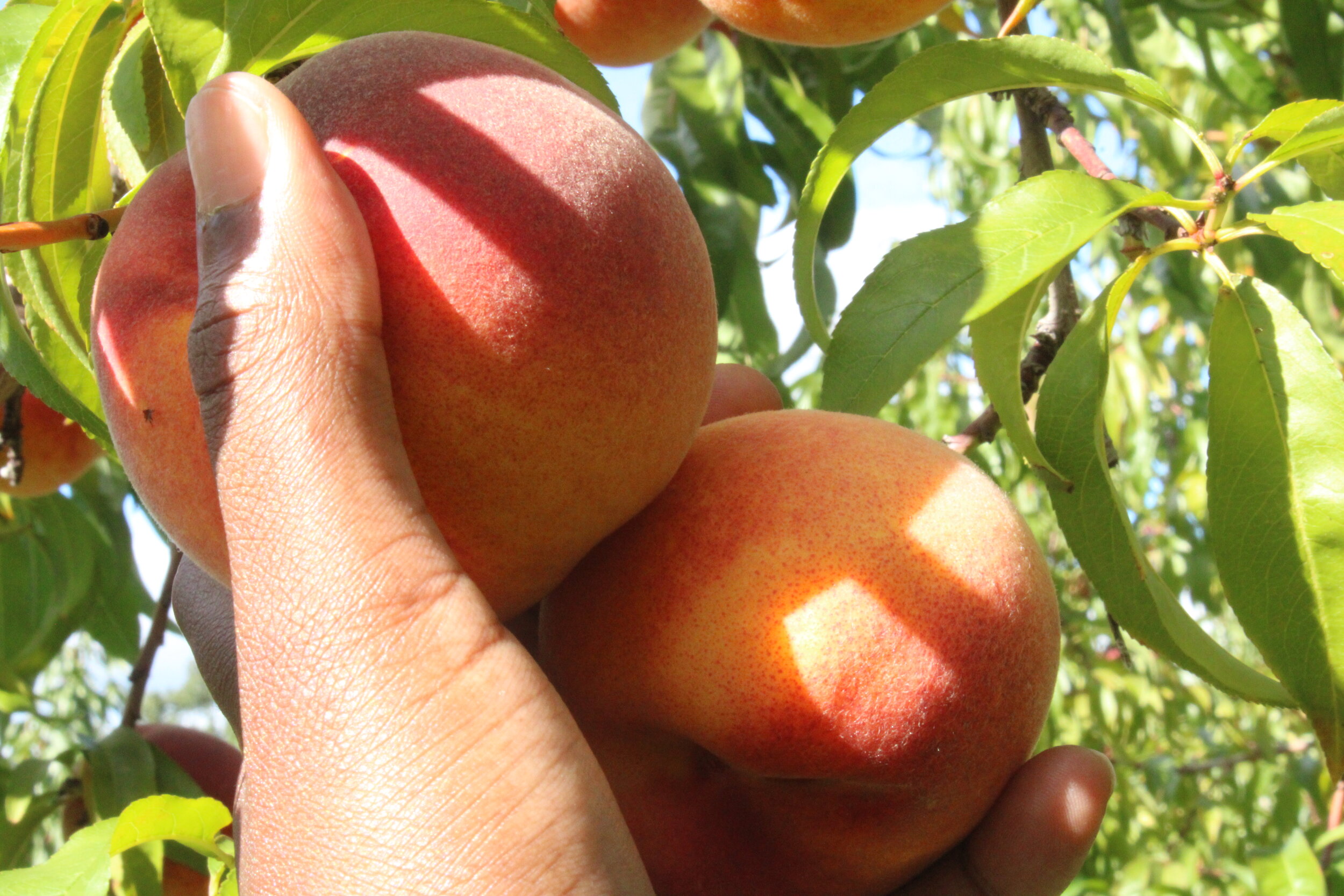 Reasons to be grateful