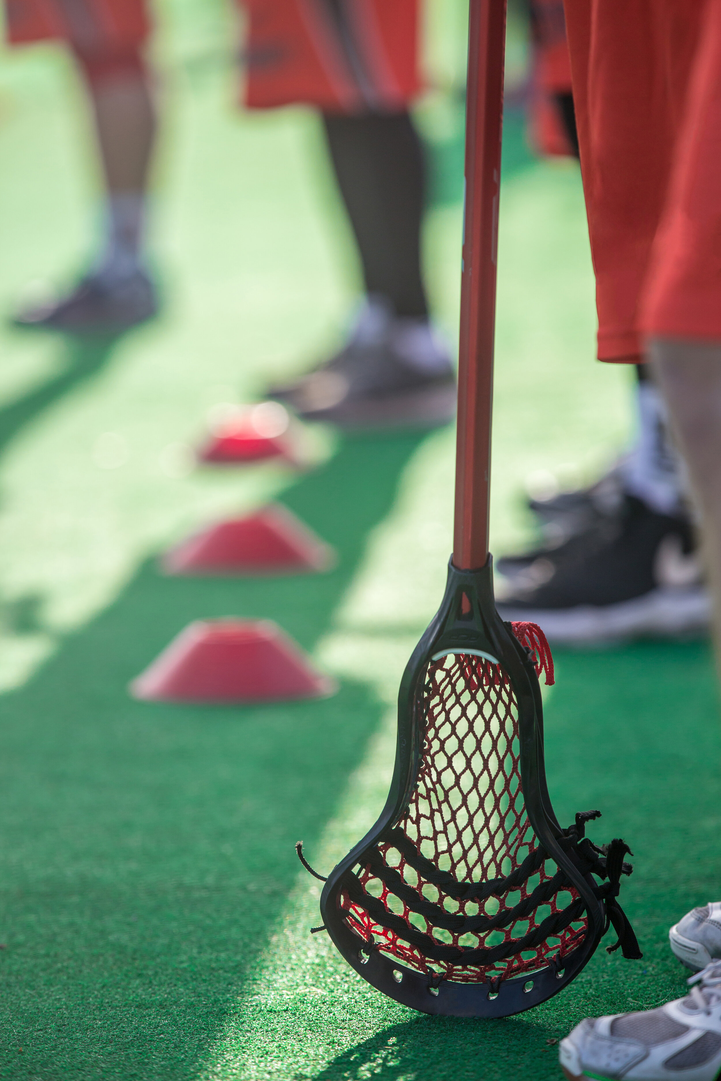 Massachusetts Collegiate Box Lacrosse League (2020 Fall Training Sessions)