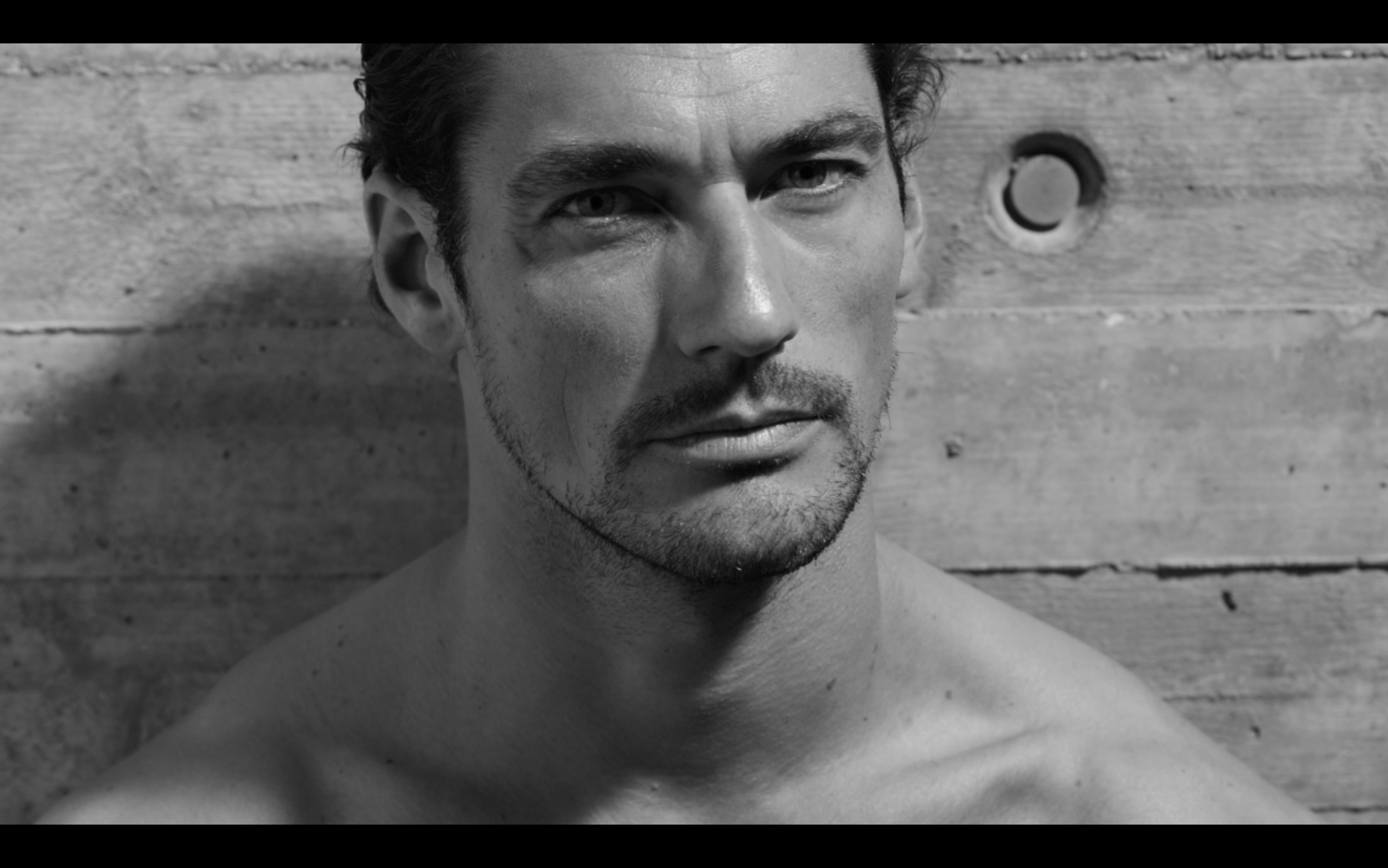 David Gandy