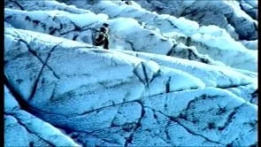 VIVIDENT MOUNTAIN ICE