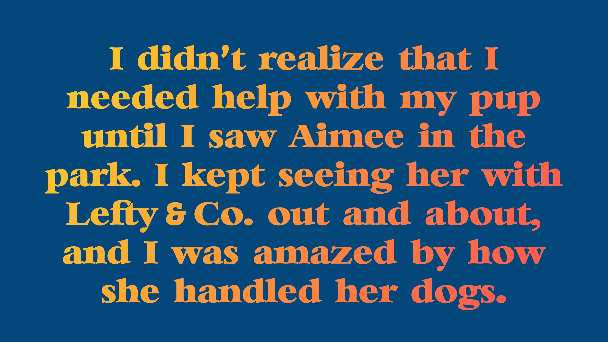 aimee_dog_training_review_14-min.jpg