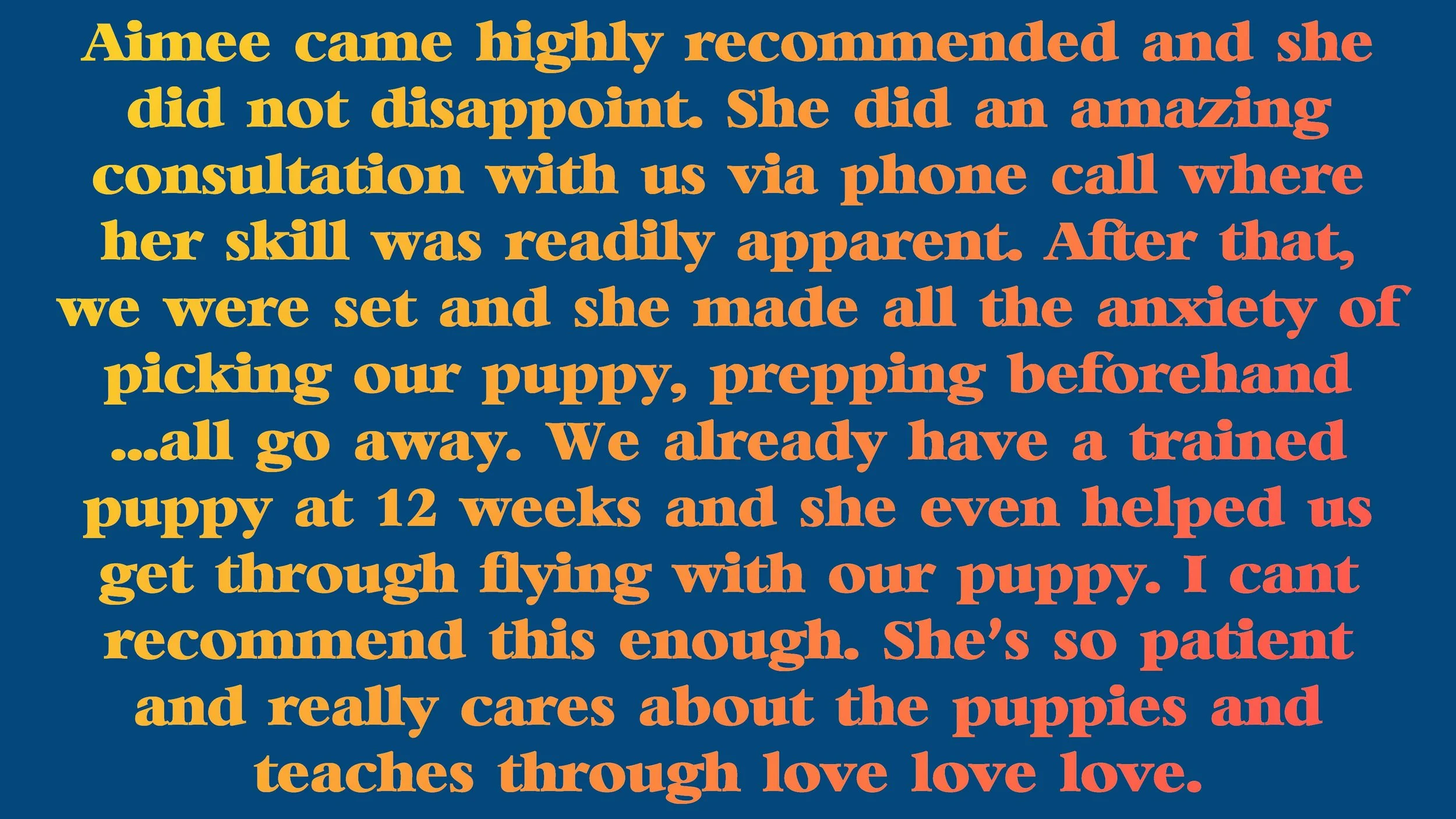 aimee_puppy_comes_home_review-min.jpg