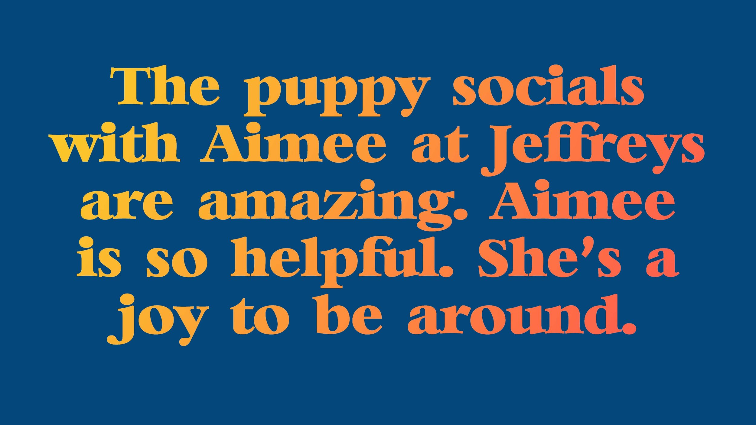 aimee_puppy_socials_review_5-min.jpg