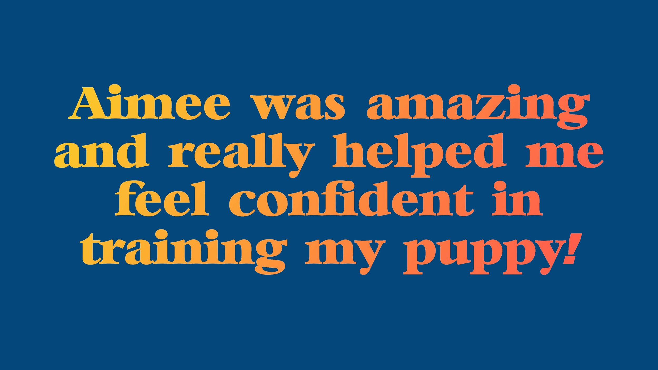 aimee_puppy_training_review_6-min.jpg