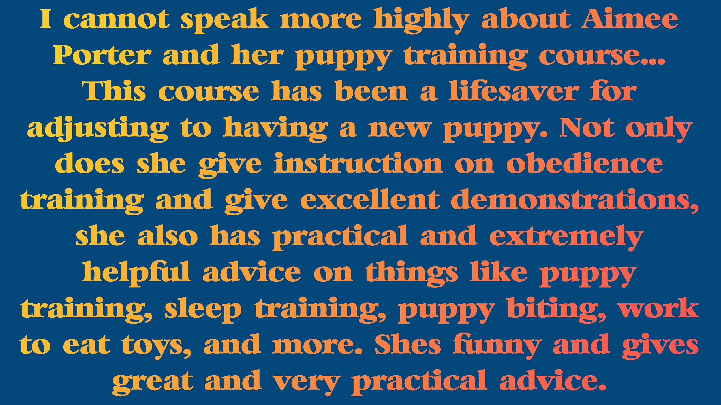 aimee_puppy_training_review_11-min.jpg