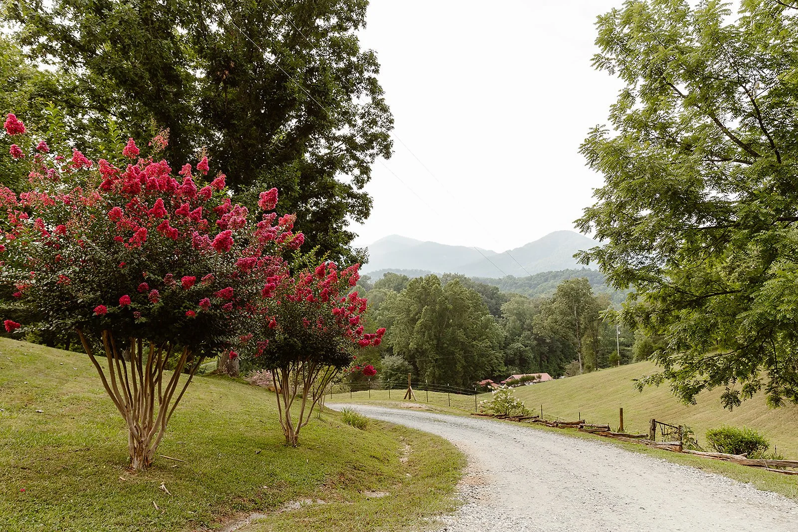 things to do in Bryson city NC