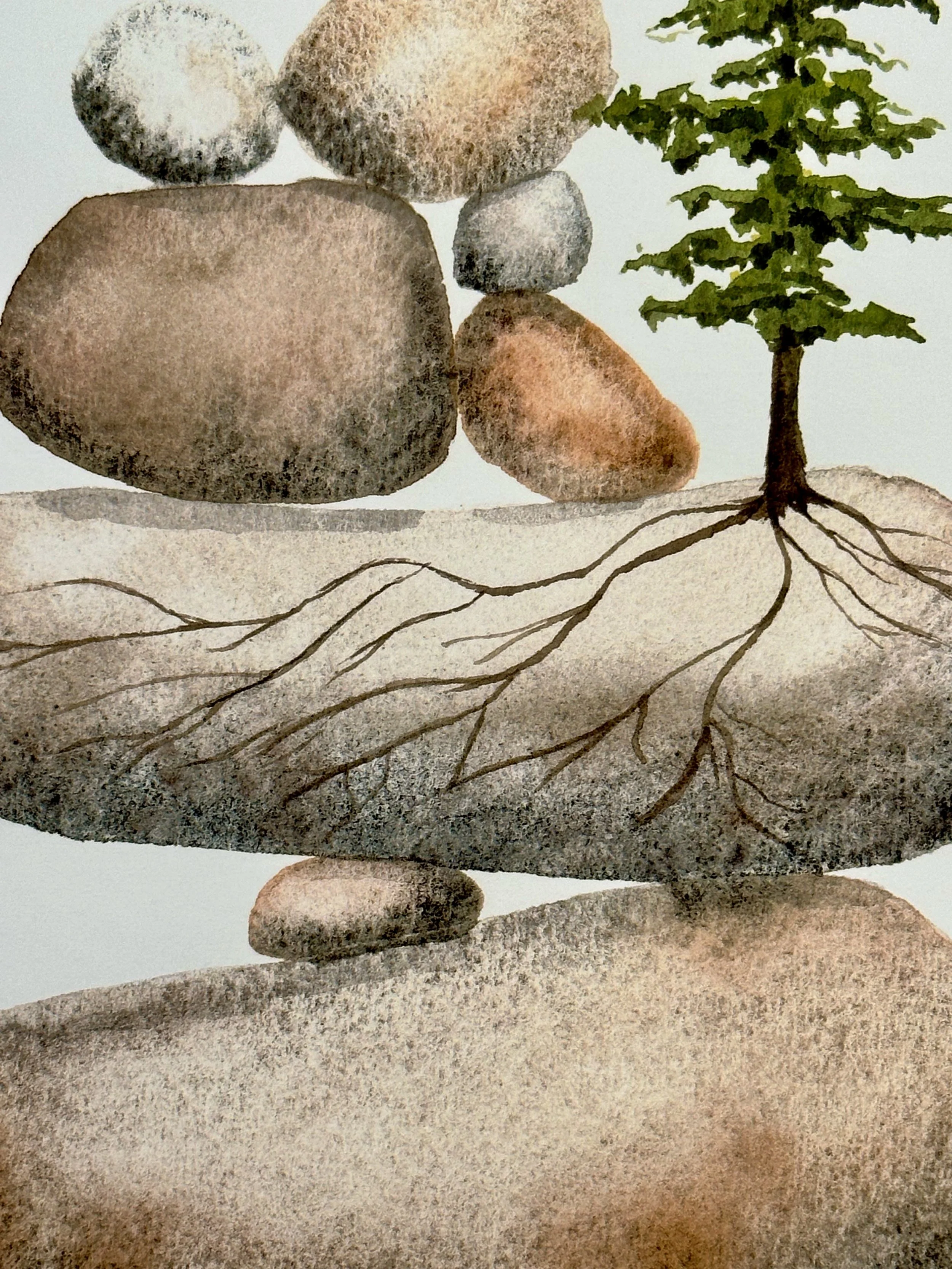 Resilience-root.jpeg