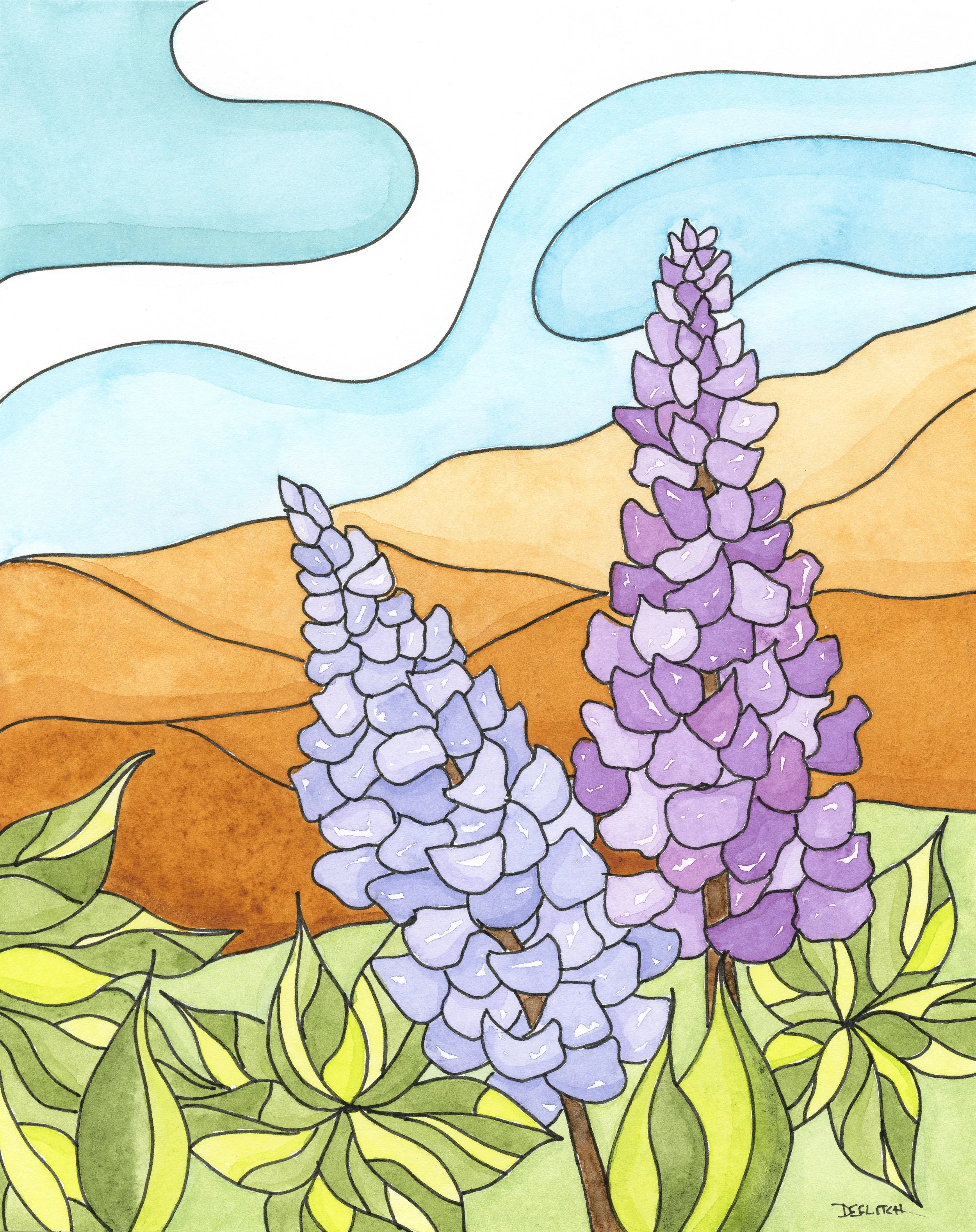 Lupine Season - 100 Aker pic.jpg
