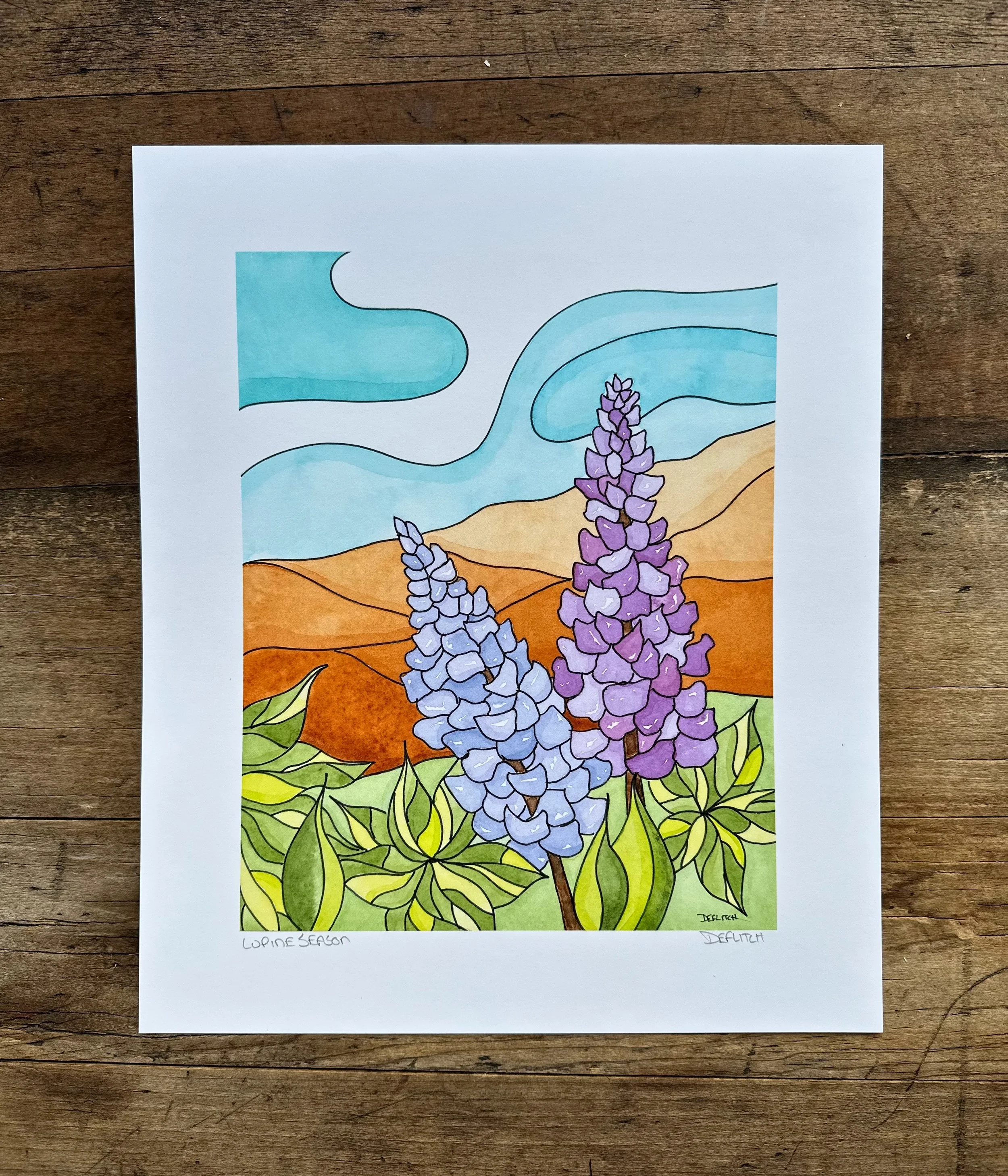Lupine Season - single page.jpeg