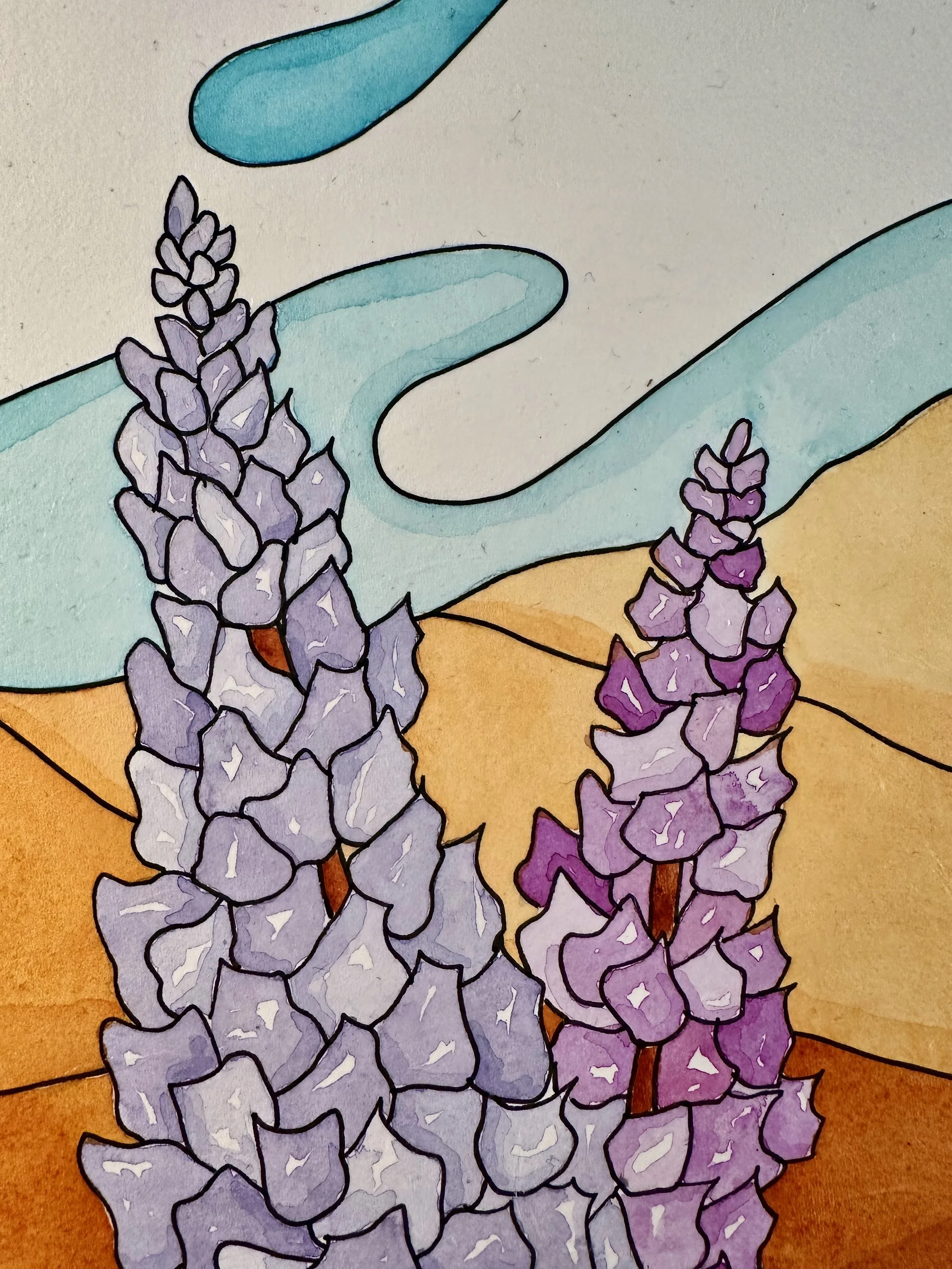 Lupine Afternoon closeup top.jpeg