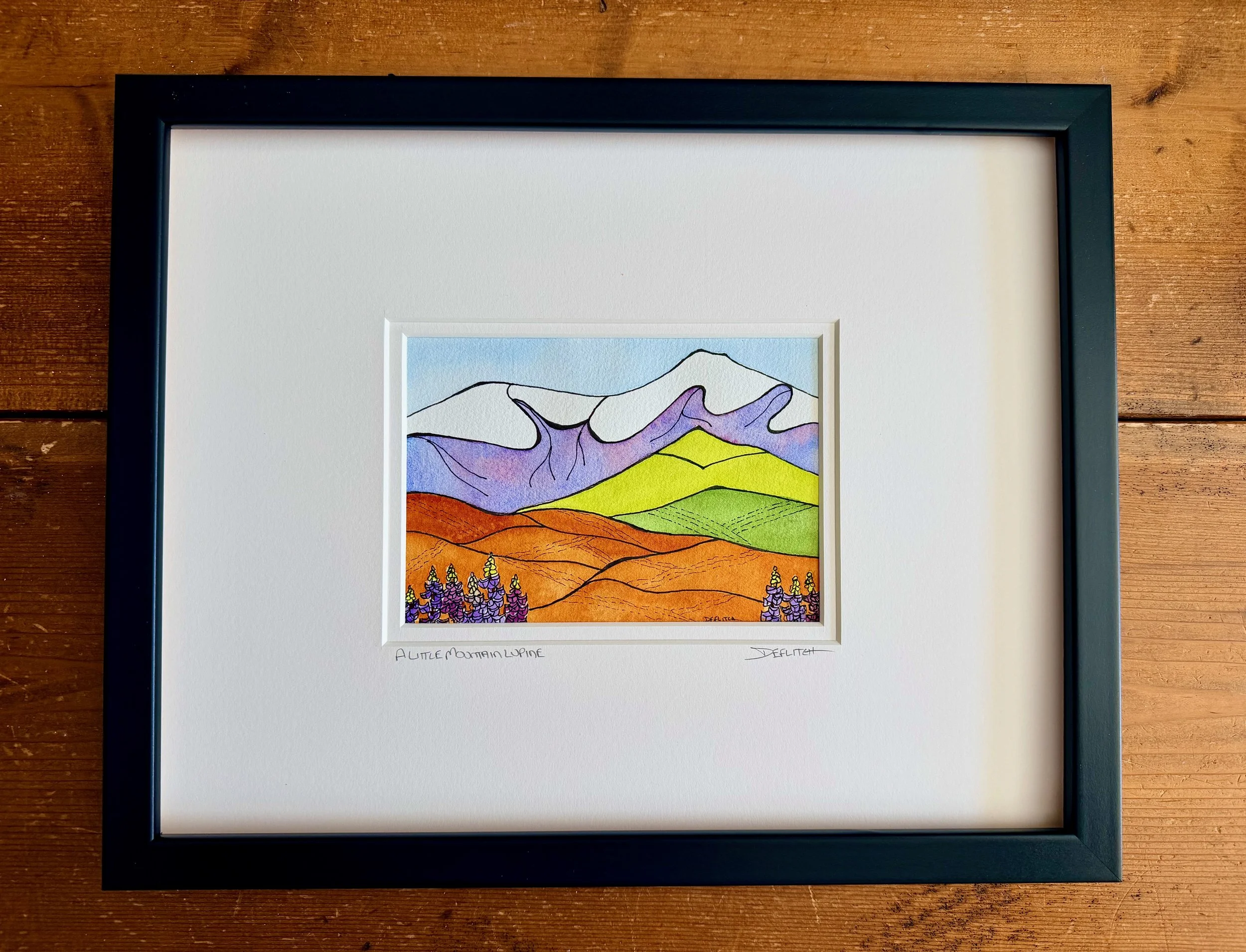 a little mountain lupine.jpeg