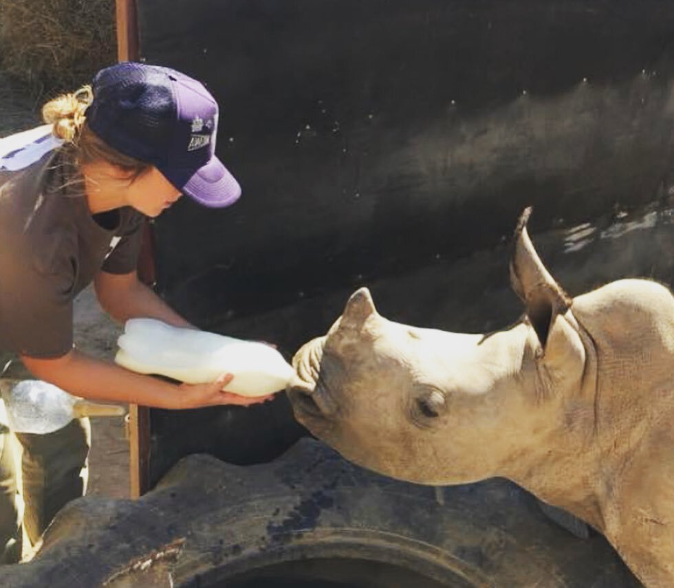 BABIES ARE HERE! Most of you know, but some of you may not, that we donate 10% of our profits to @careforwild , the largest rhino orphanage and sanctuary in the world. In the past 3 weeks, incredible things have been happening over in South Africa at