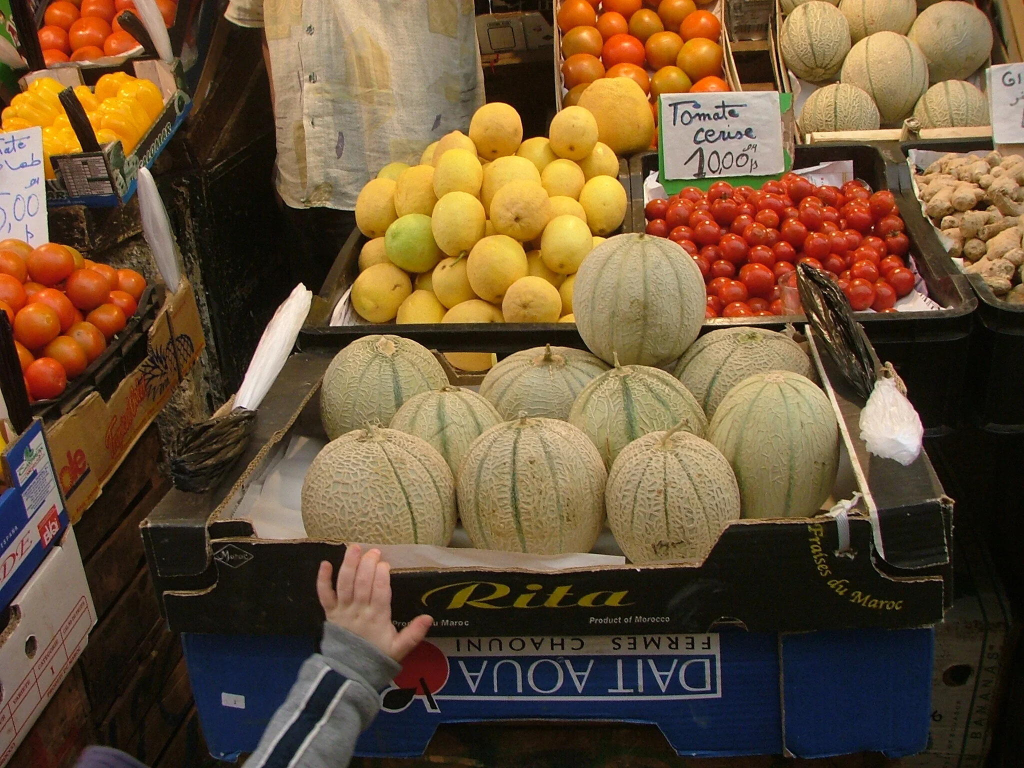 Dris - produce reference