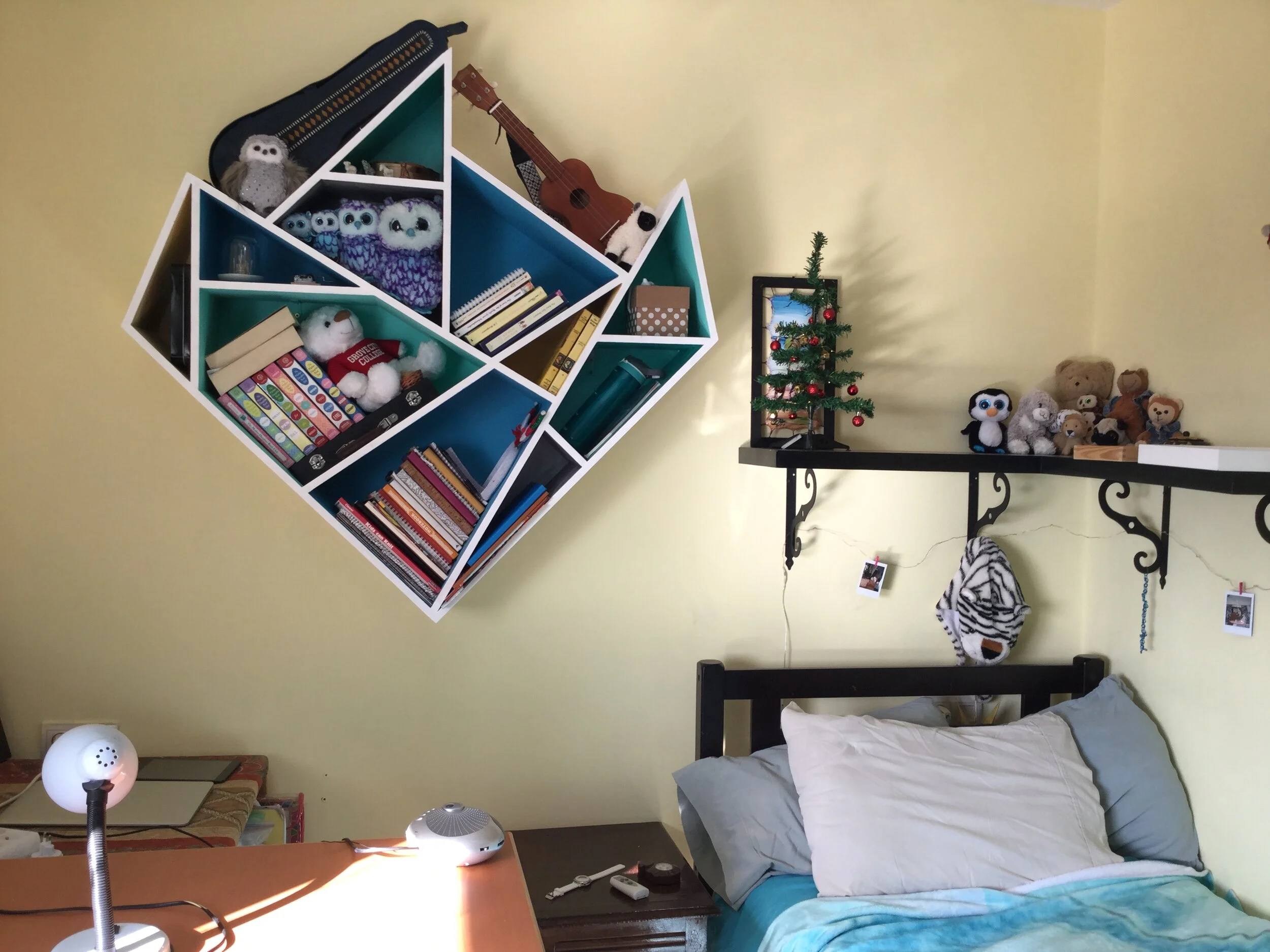 Maisey's Shelf - in situ