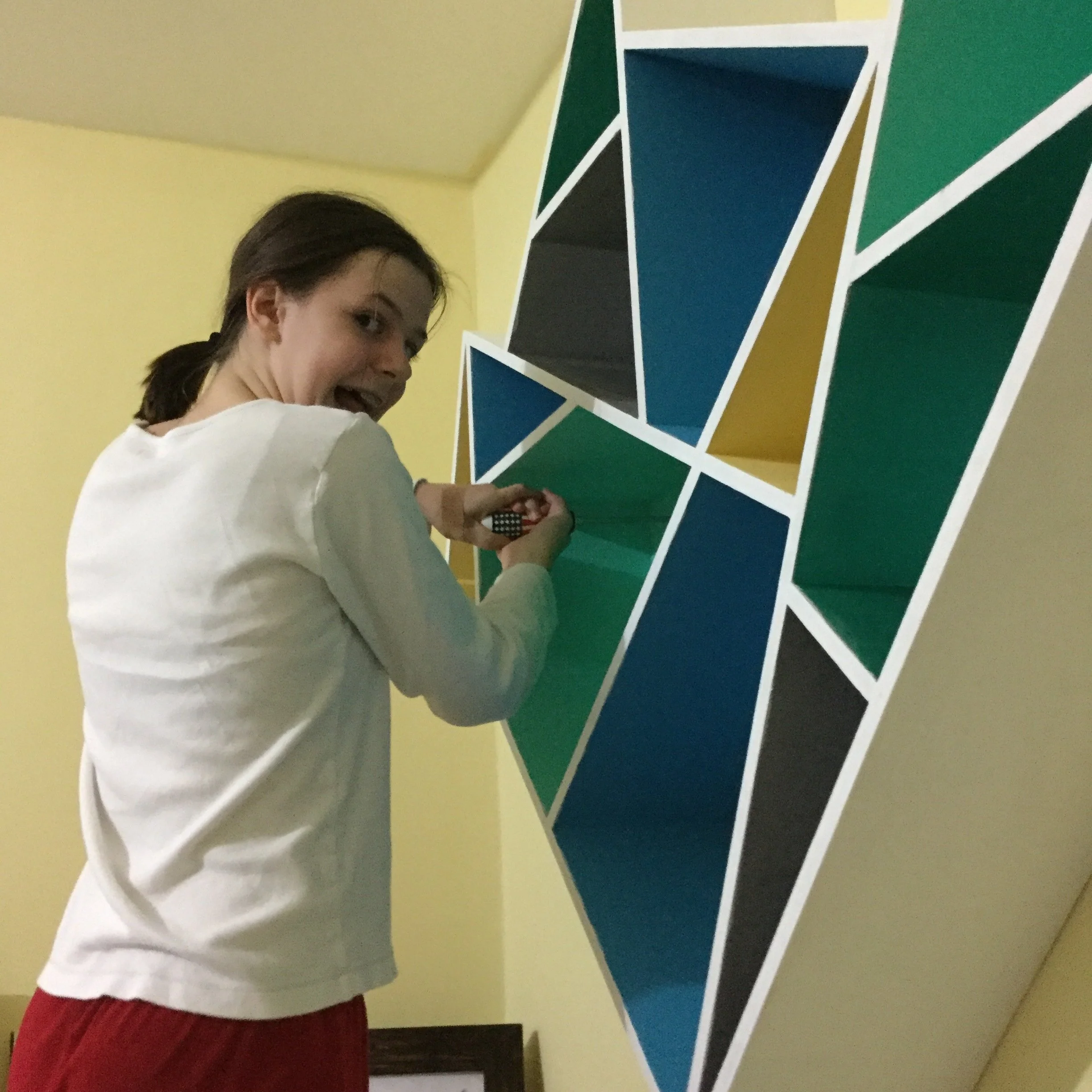 Maisey's Shelf - install