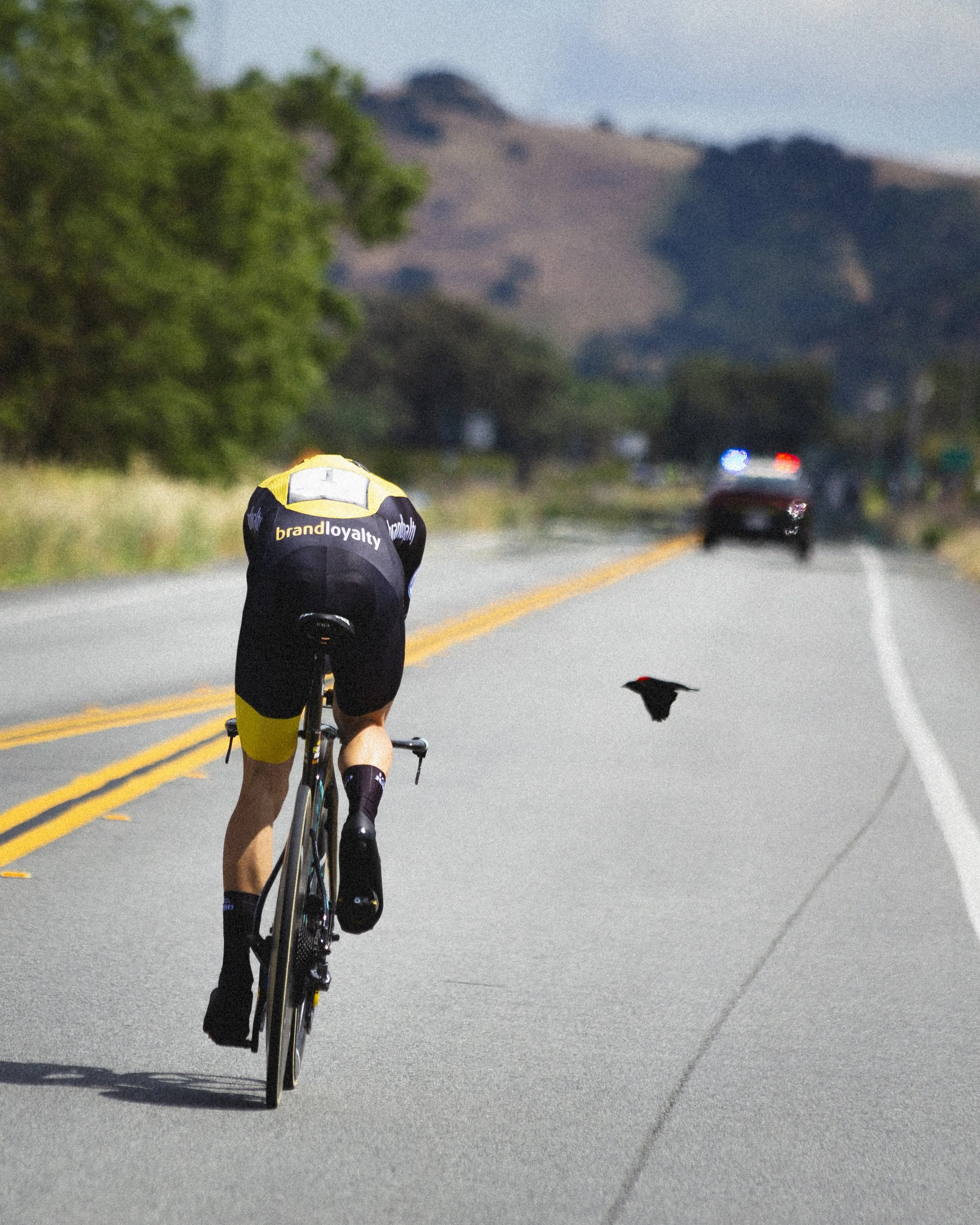 2018 ATOC HIGHLIGHTS 006.jpg