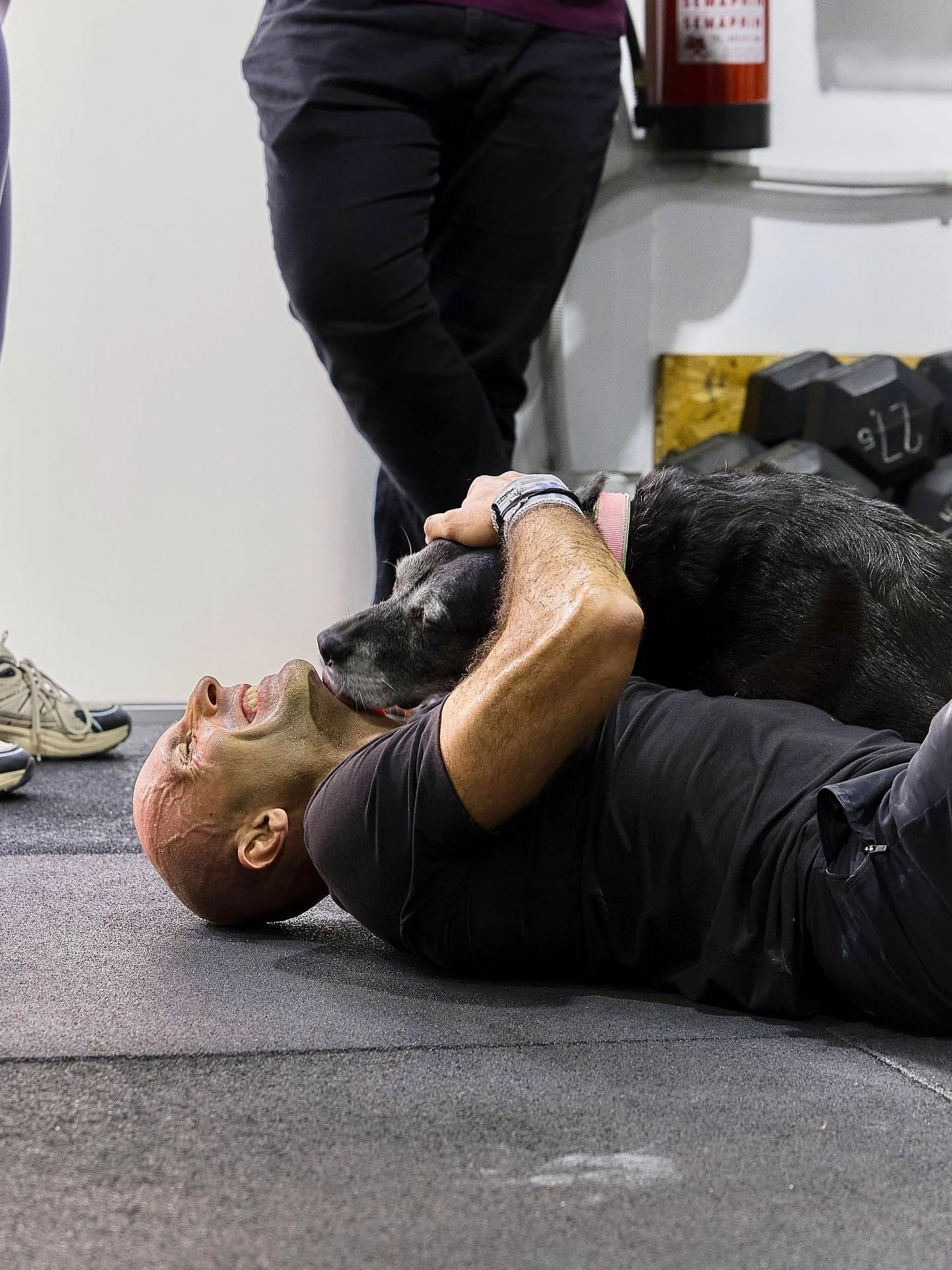 👊🏼🧨 CFX Benchmark &lsquo;Two Two Three&rsquo; 🧨👊🏼 PART 2

#crossfit #benchmark #strongertogether #noegojusthardwork