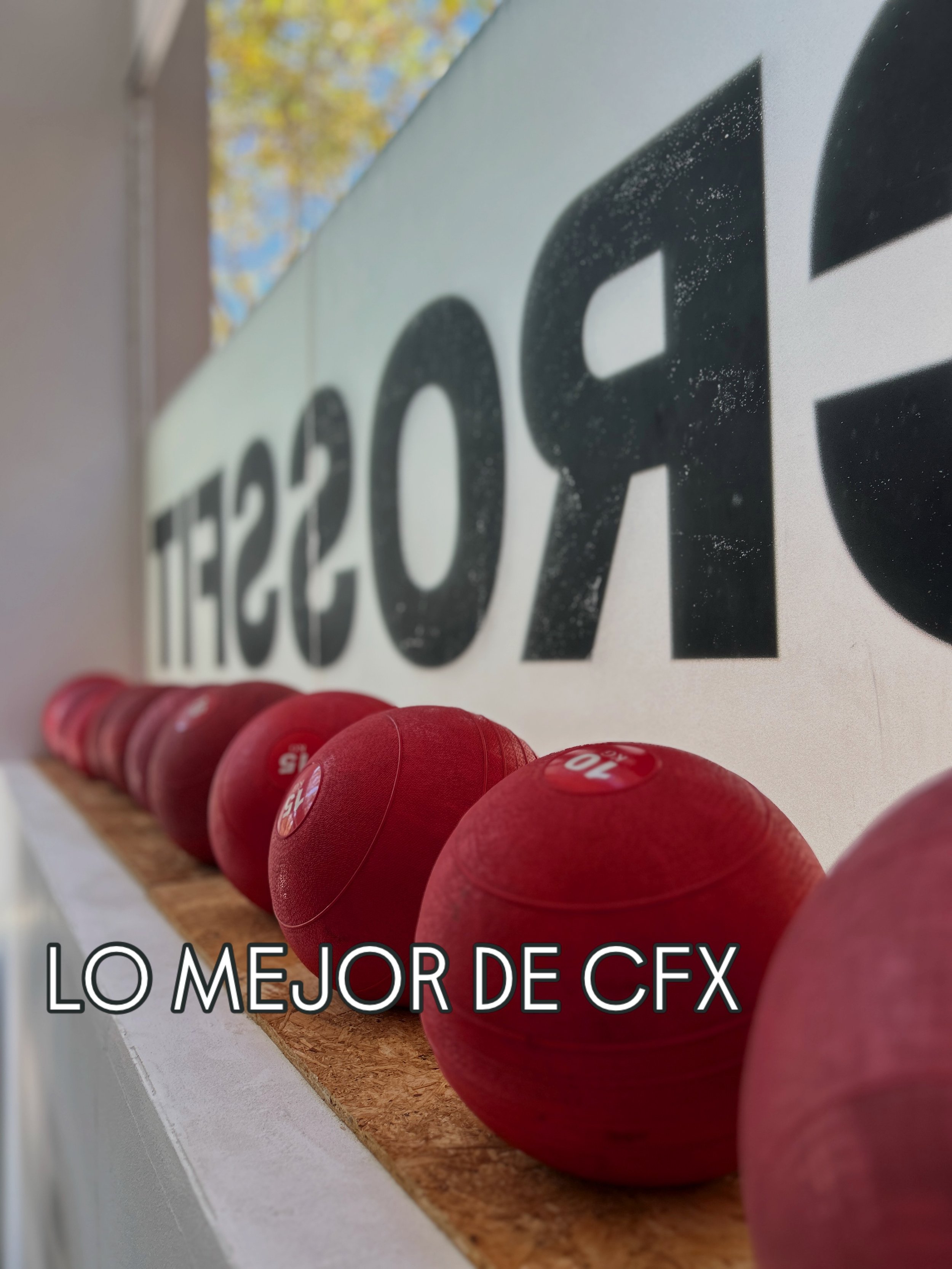 Lo mejor de CFX: clases de calidad.

Para nosotros, una buena clase no es simplemente seguir un entrenamiento.

👥 M&aacute;ximo 12 personas por clase
🙌 Apoyo desde el primer d&iacute;a
🎯 Correcci&oacute;n de t&eacute;cnica y ejecuci&oacute;n
🛡️ E