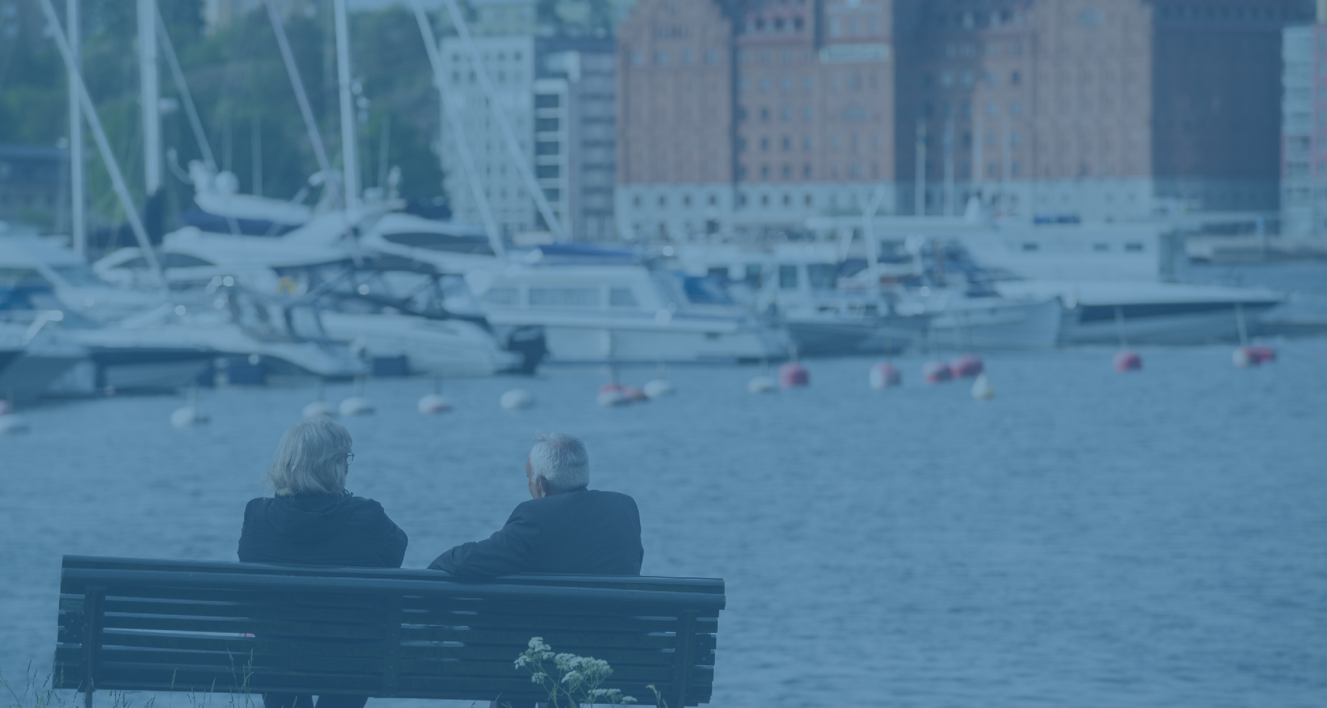 Screen Shot 2020-01-24 at 12.16.17 PM.png