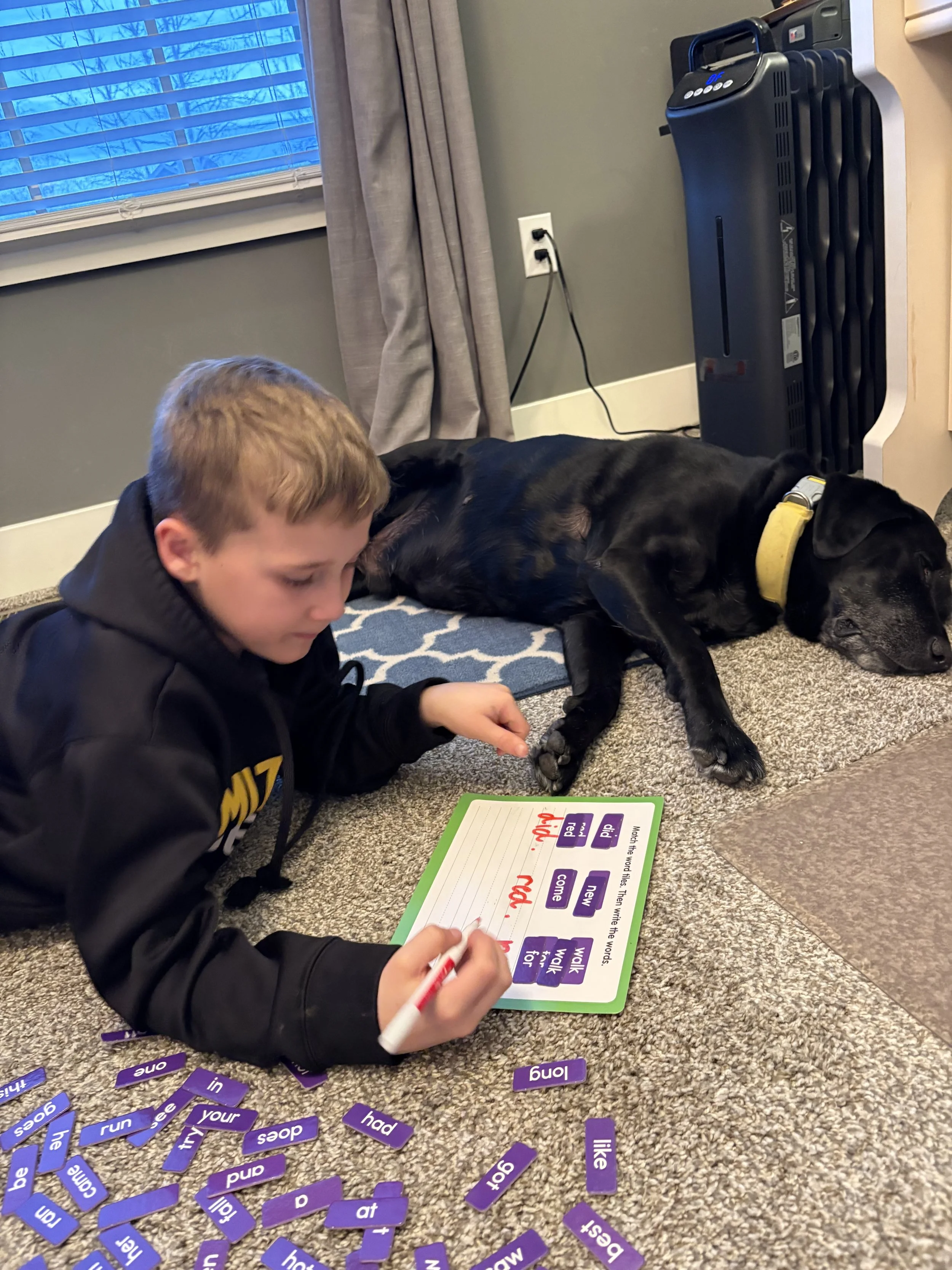 A young boy in a black hoodie sitting on a beige carpet, writing on a whiteboard with purple words, surrounded by purple word tiles scattered on the carpet. A large black dog with a yellow collar is lying next to him, resting its head on the floor. T