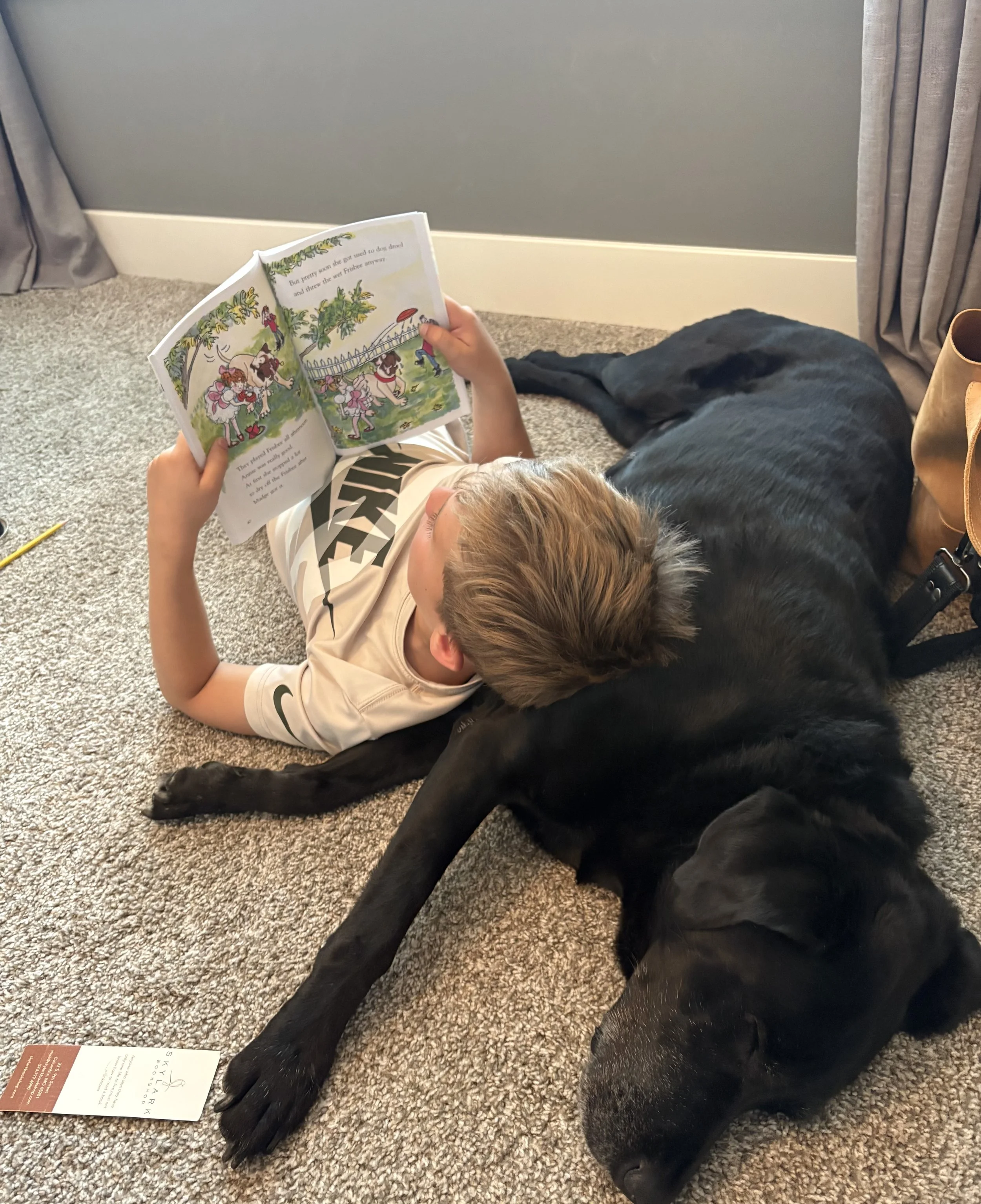 A boy lies on carpeted floor reading a children's book, with a black dog stretched out beside him, in a room with gray walls and curtains.