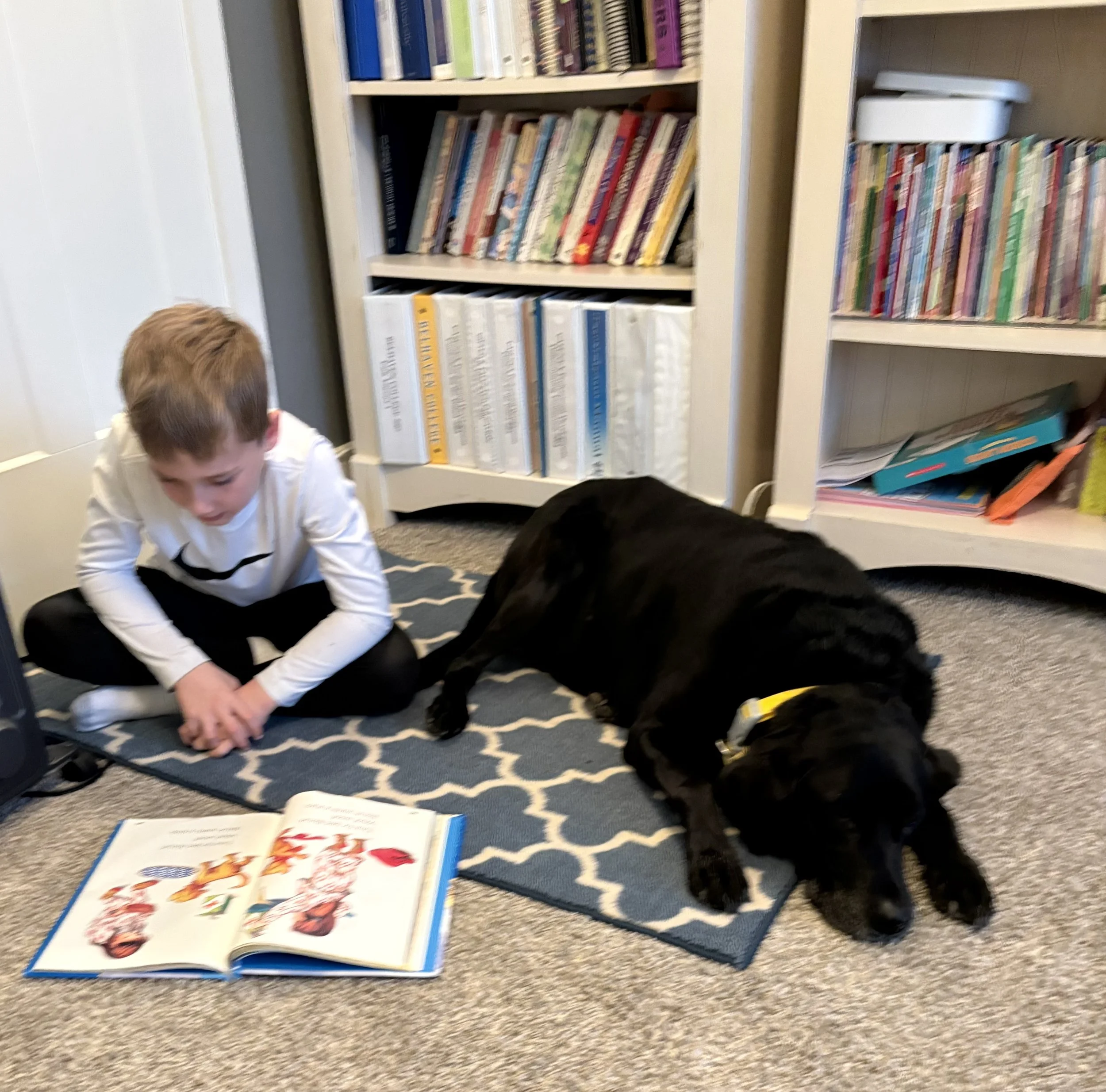 A child with light brown hair is sitting on a carpeted floor, looking down at a colorful picture book that is open in front of them. Behind the child, there are two white bookshelves filled with numerous books and a white box on top of one of the she