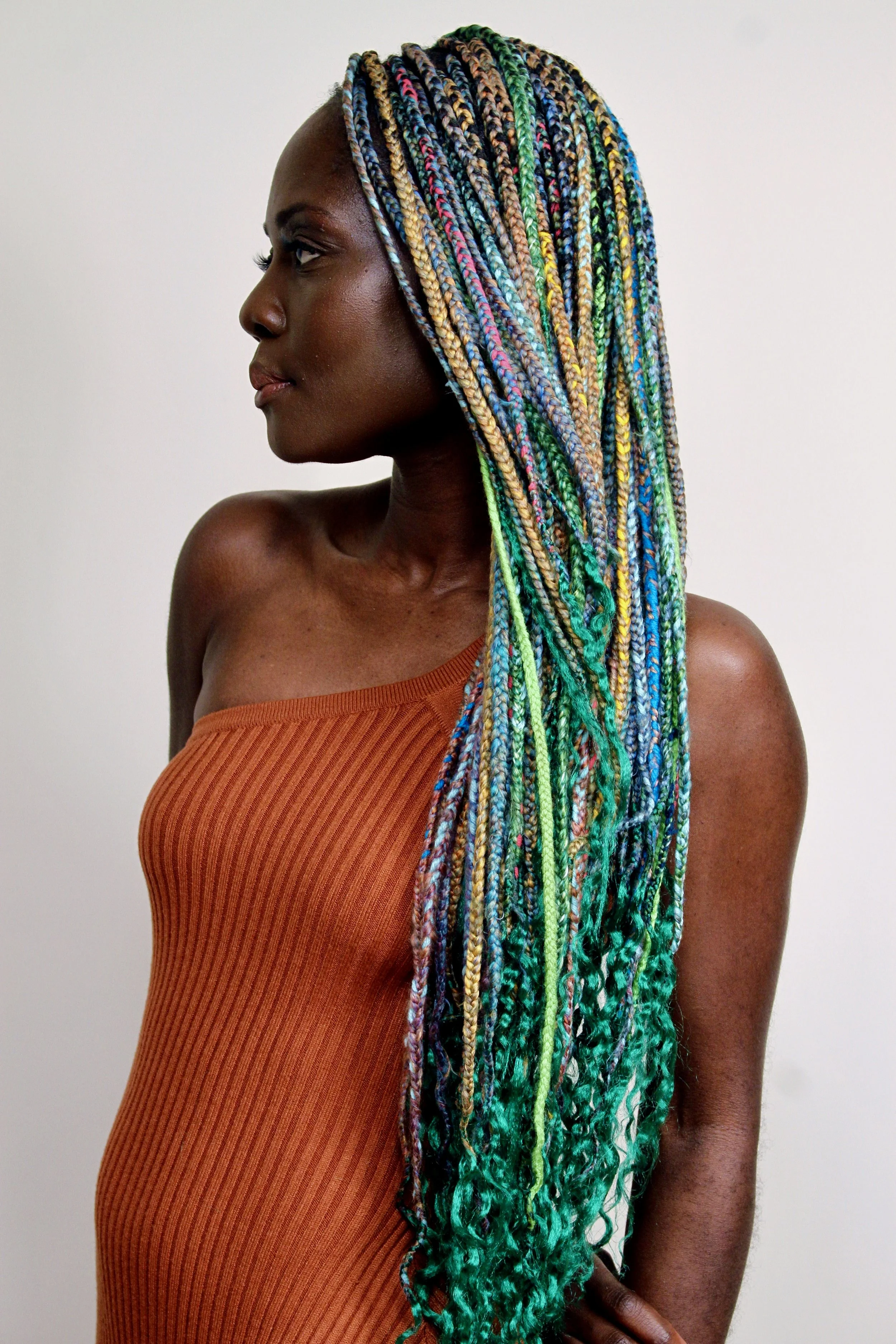 NRAY LOCS Colorful w/ hair incuded