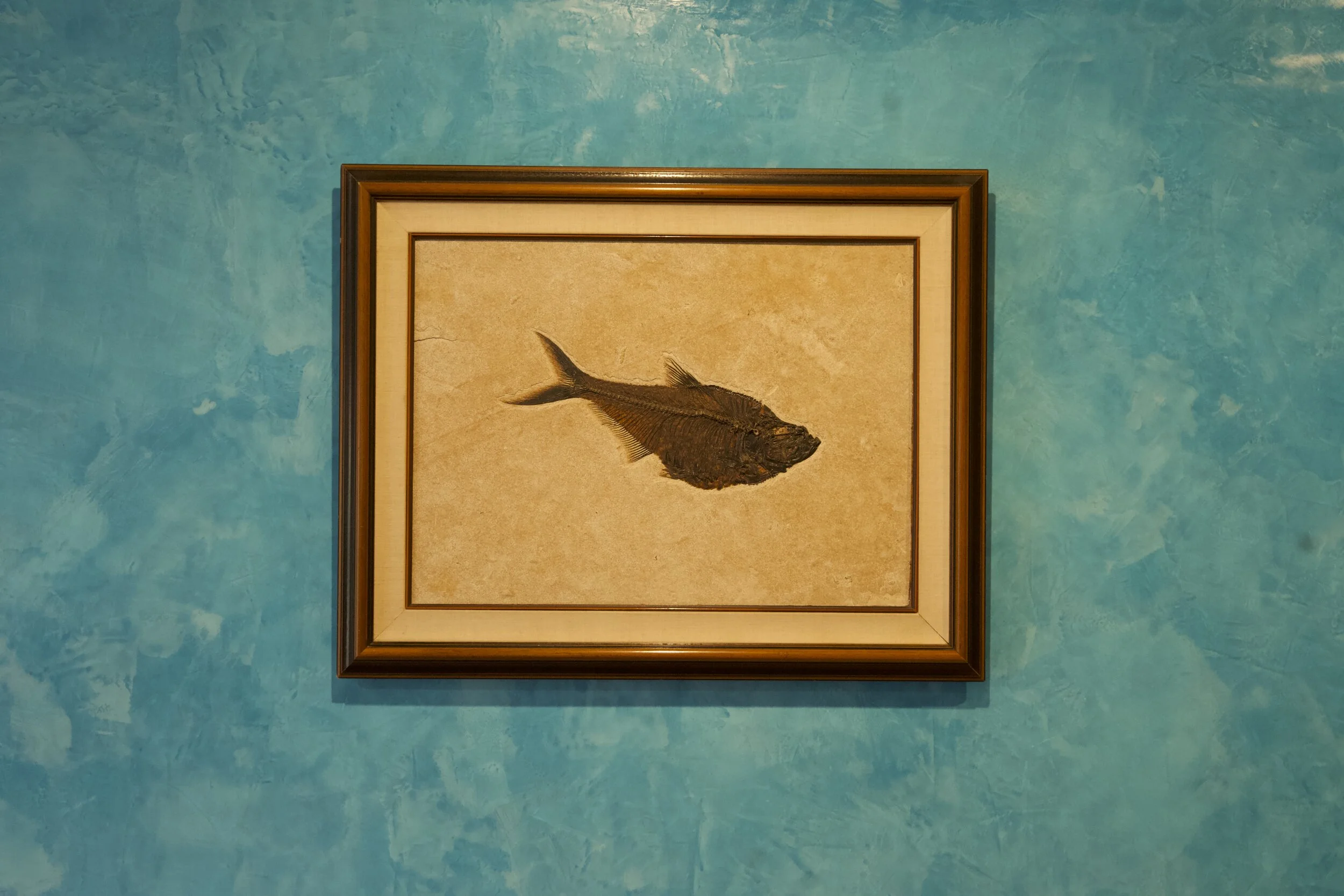 Fish in Water.jpg