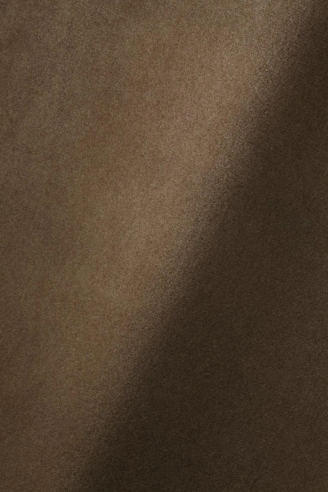 Wool Velvet - Fledgling