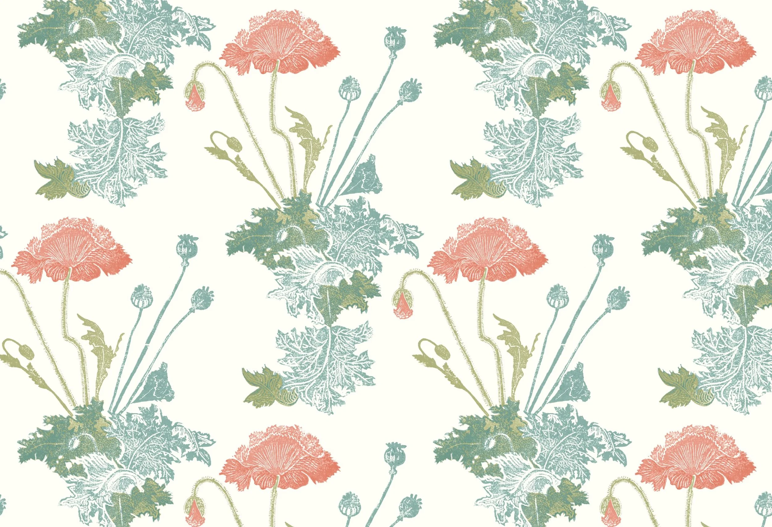 JENNY'S POPPY | Coral