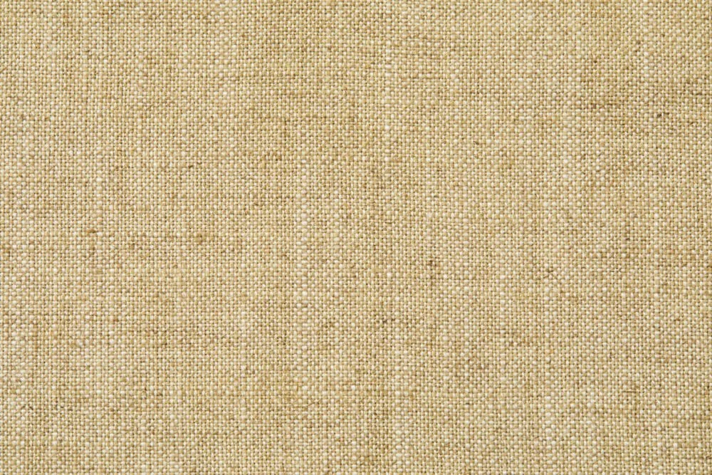 MONSOON MIST | BAMBOO