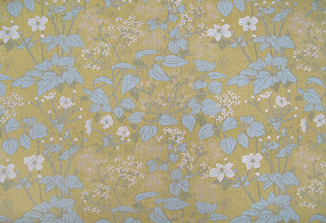 OLD MAN'S BEARD | Meadow