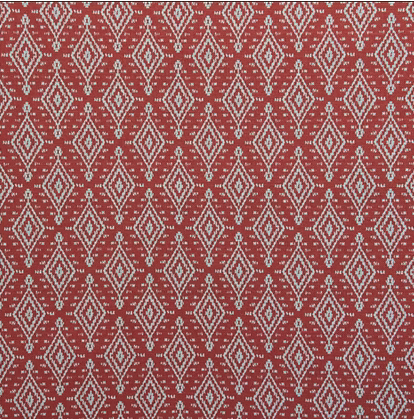 Naya  |  Cara Cara on White