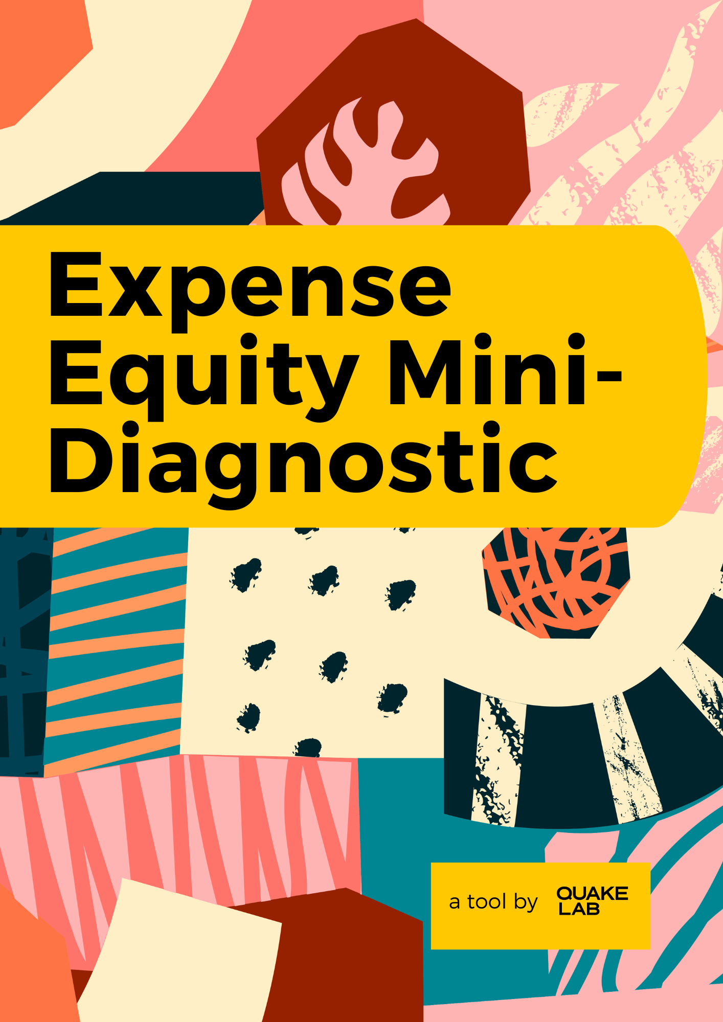 Expense Equity Mini-Diagnostic