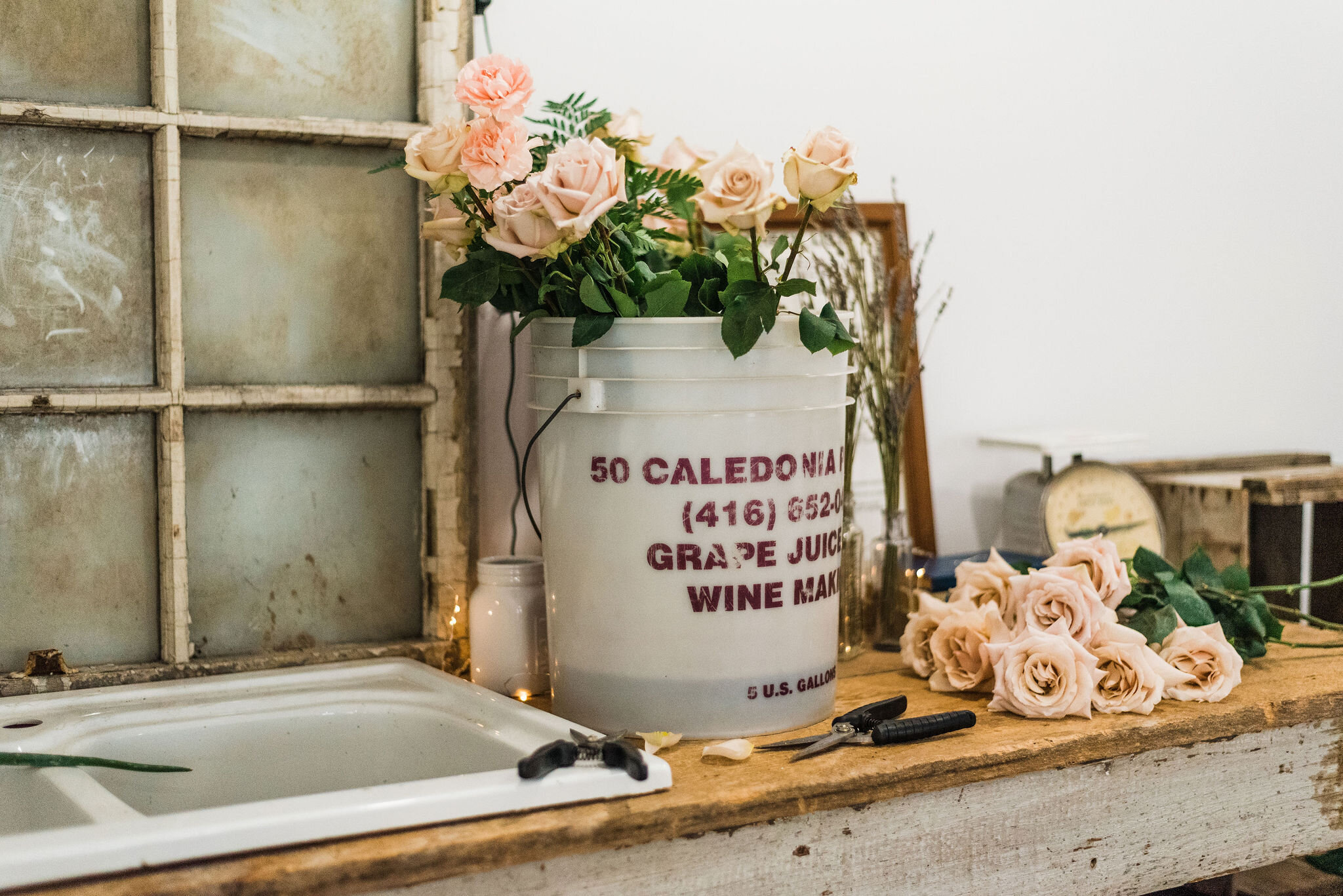 peonyhousebranding(67).jpg